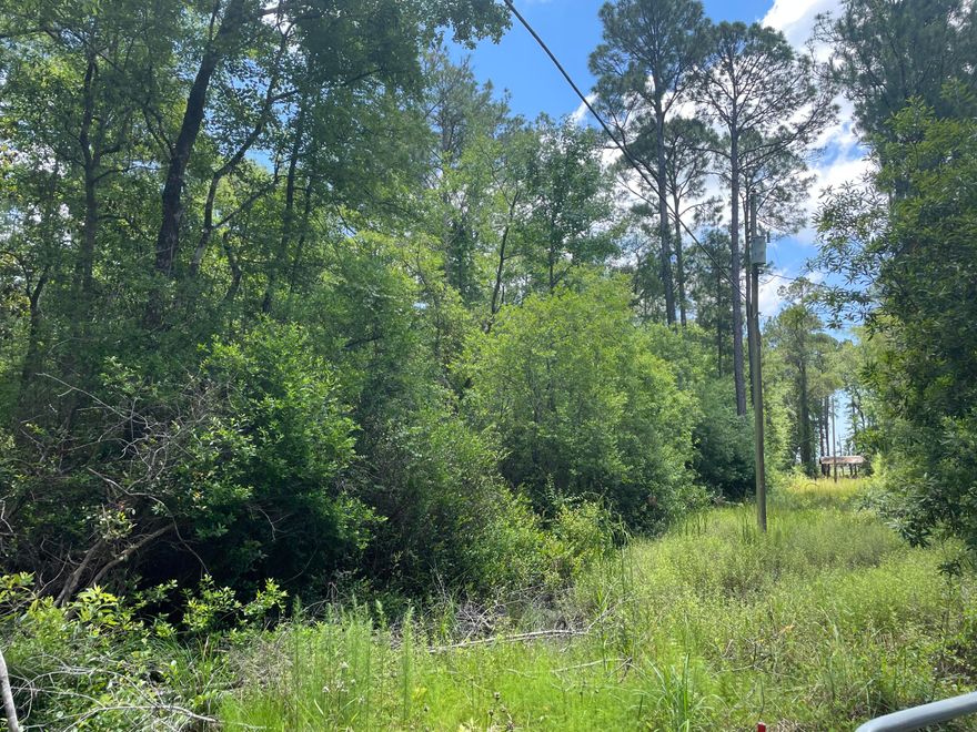 Don't let this one get away. Beautiful wooded lot. Less than 700ft from Choctawhatchee Bay and only a short drive to the Beaches of Destin and Panama City.