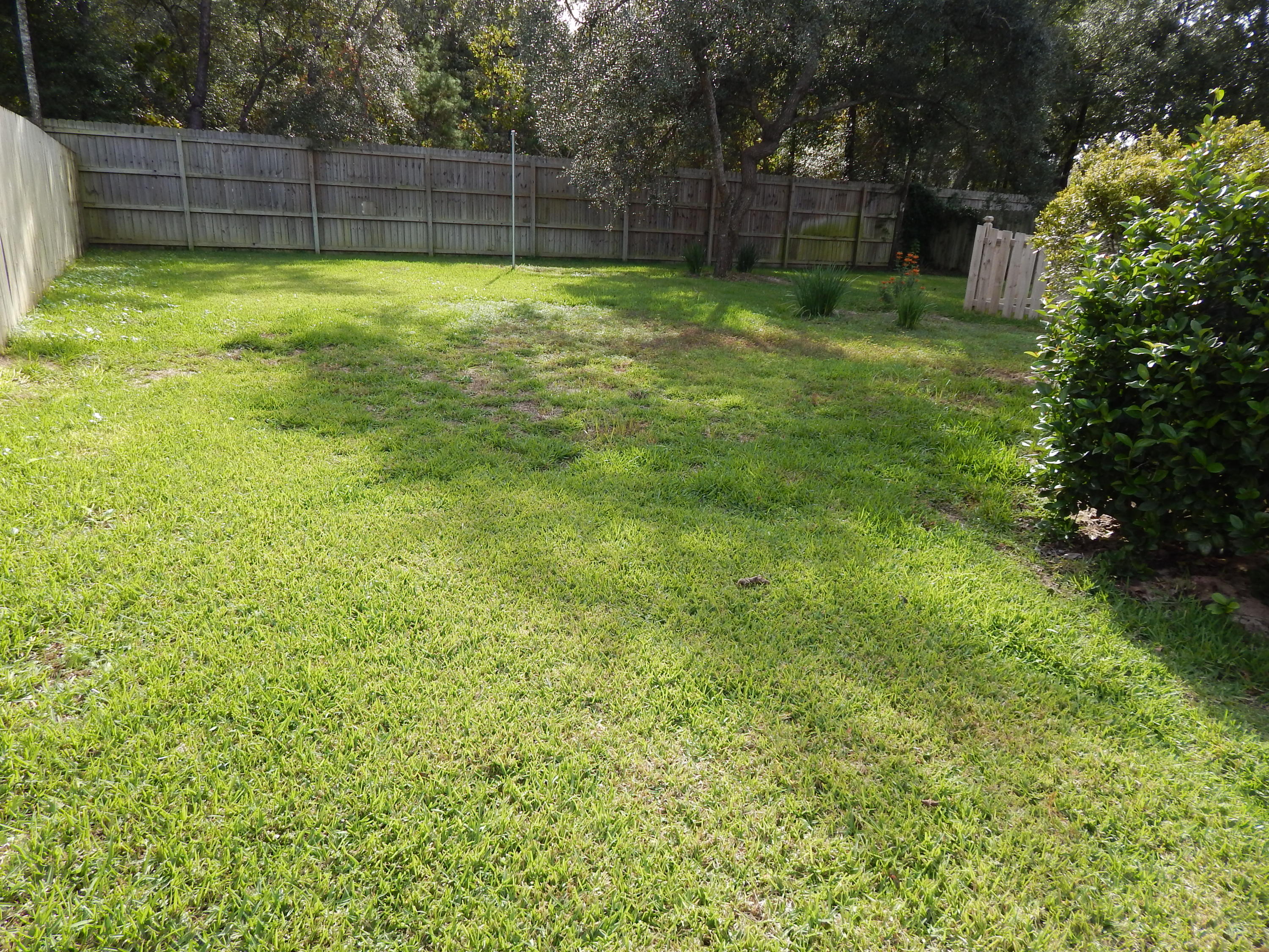 THE PRESERVE AT SWIFT CREEK - Residential