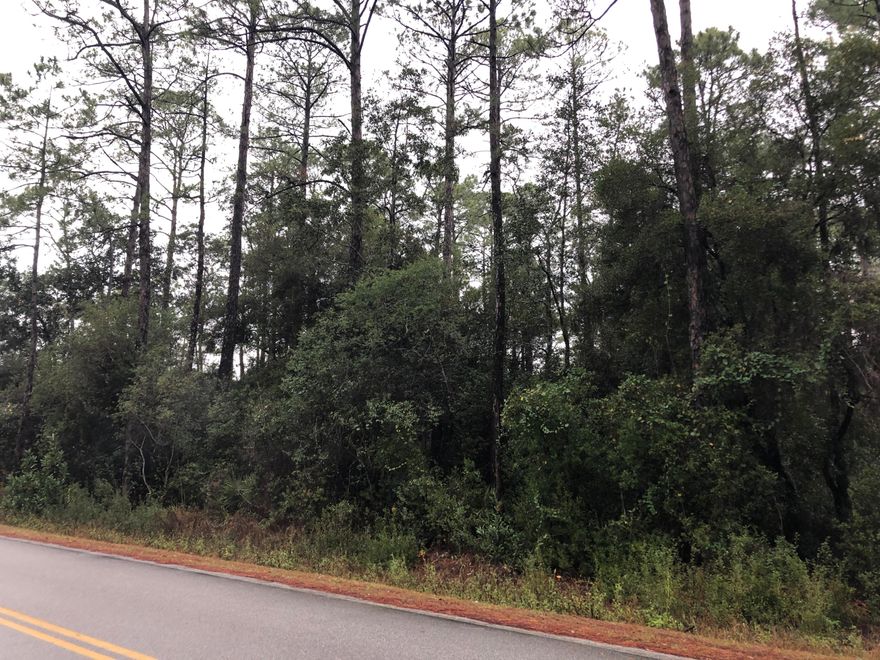Great Lot in Magnolia Beach Subdivision, close to the Bay. Nice, wooded 50x150 homesite just 0.32 miles to Bay access at the end of Cabbage Rose Lane, and a 10 minute drive to Grayton Beach. Enjoy all that South Walton has to offer from this quiet, centrally located neighborhood. No mobile home are allowed, but also no HOA Dues, and no build-out time deadlines.Jurisdictional wetlands are present on this lot. A homesite could be filled with proper permitting from the appropriate regulatory agencies.