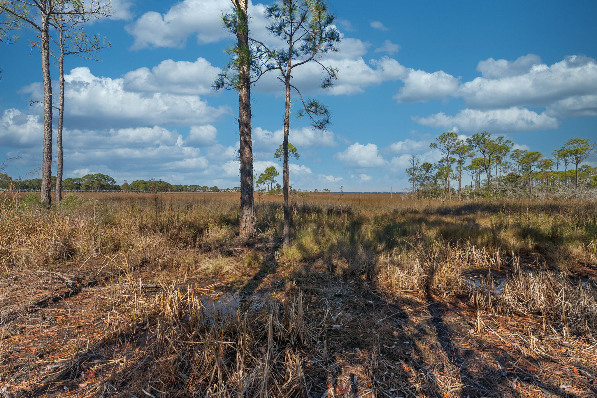 HERON WALK PH 1 - Residential