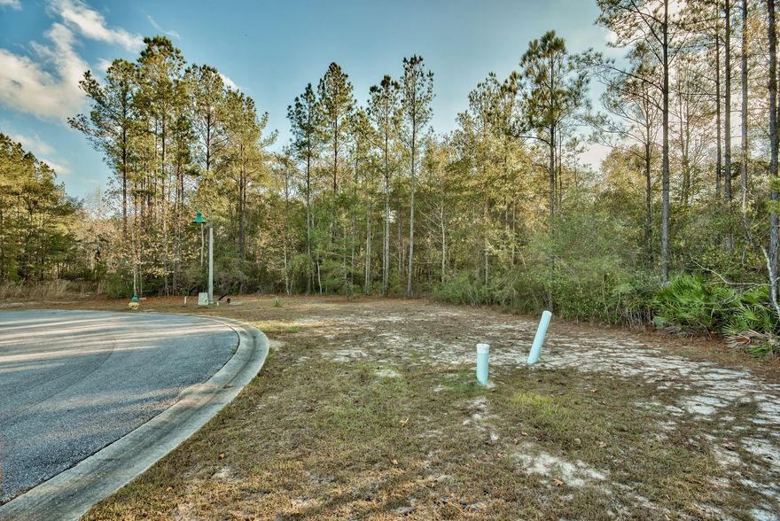 Incredible opportunity to own one of the largest lots available in Hammock Bay! Hammock Bay is a premier 3,000-acre planned community nestled in the quiet surroundings of Freeport alongside Choctawhatchee Bay yet still close to the beaches of South Walton. Build your dream home in a beautiful community at a more affordable cost. There is a lot of expansion within Freeport currently so this is your chance to get in early! Lot 31 Cameilla Court is located on a cul-de-sac within the Gardens community of Hammock Bay and totals ~0.82 acres. Surrounded by natural woodlands and beautiful landscaping throughout the community, this is a peaceful and serene setting to build a home. Hammock Bay offers a selection of builders to meet your needs, however, you may also select your own approved builder.