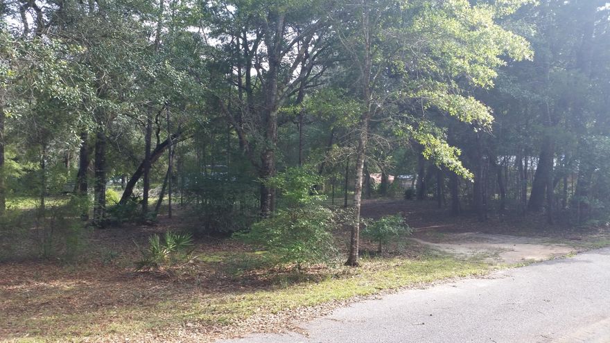 Beautiful lot with a boat ramp. Lot already has septic and a well in place. there is a boat ramp at the rear of the lot going into the canal with easy access to the bay. Lot it mostly cleared but with a few beautiful trees remaining. Perfect lot to build your dream home or just to keep your boat or Rv. Just 10 minutes away from the beaches and shopping.