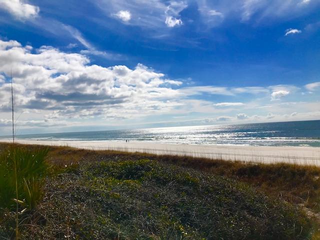 LAGUNA BEACH - Residential