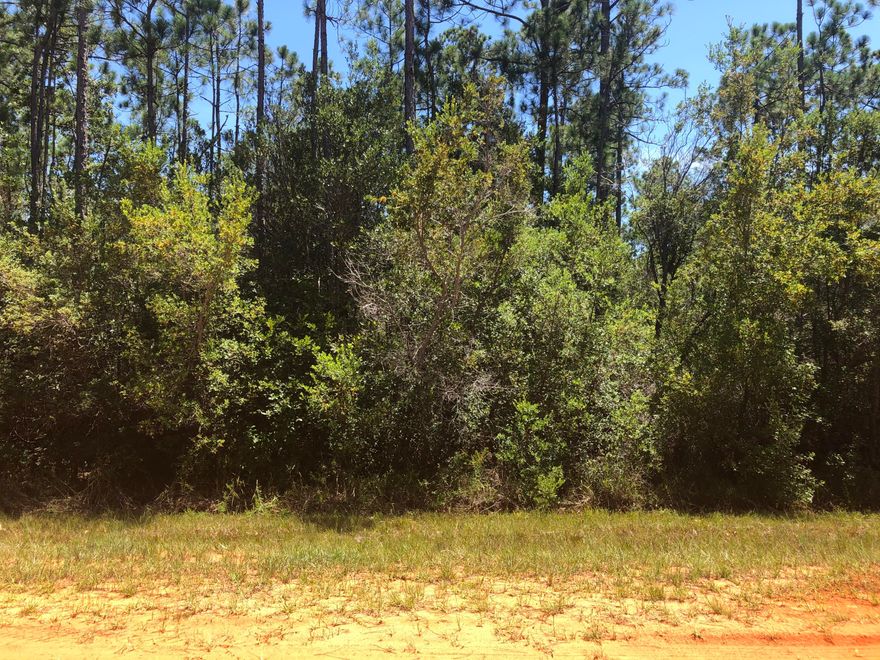 Large lot!! Great opportunity in the fast growing Holley By The Sea. Neighborhood amenities include pools, tennis courts, basketball courts, boat ramp, and more.