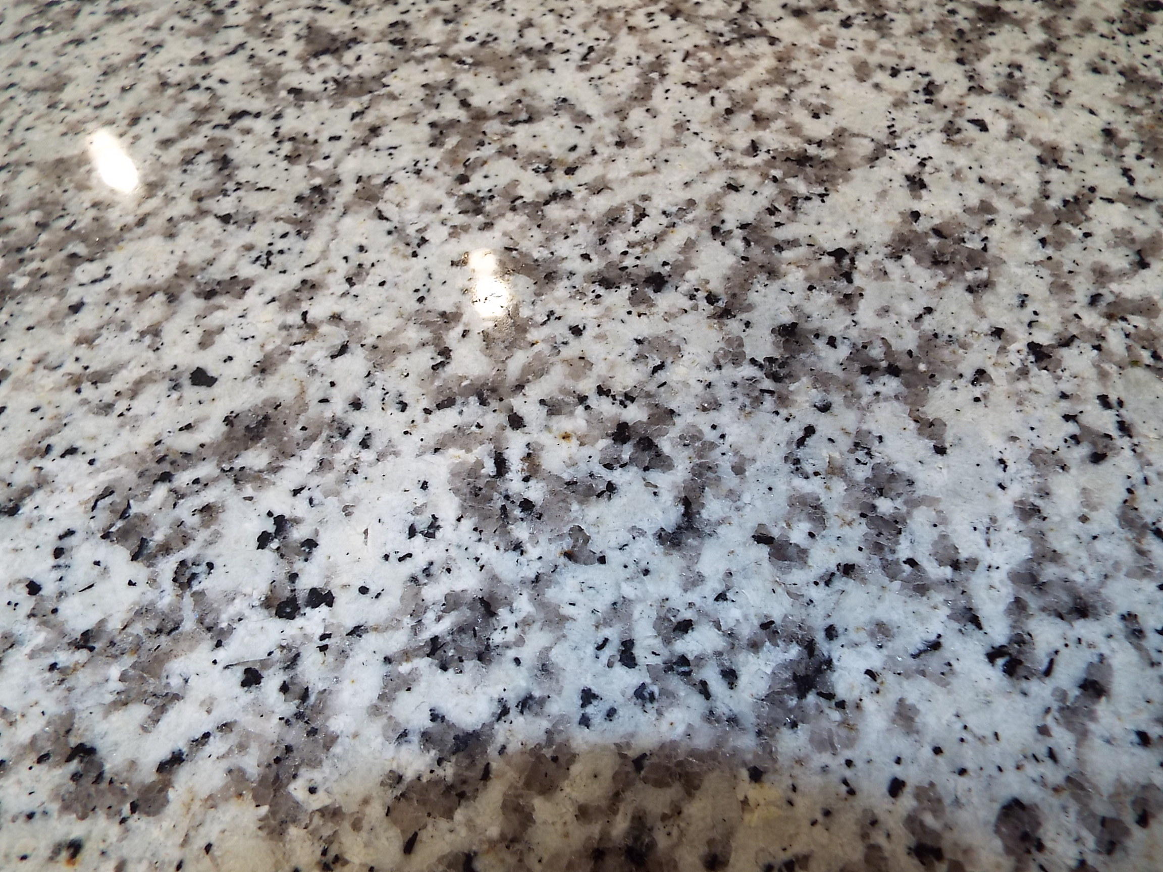 WYNNEHAVEN BEACH ESTATES 1ST ADDN - Residential