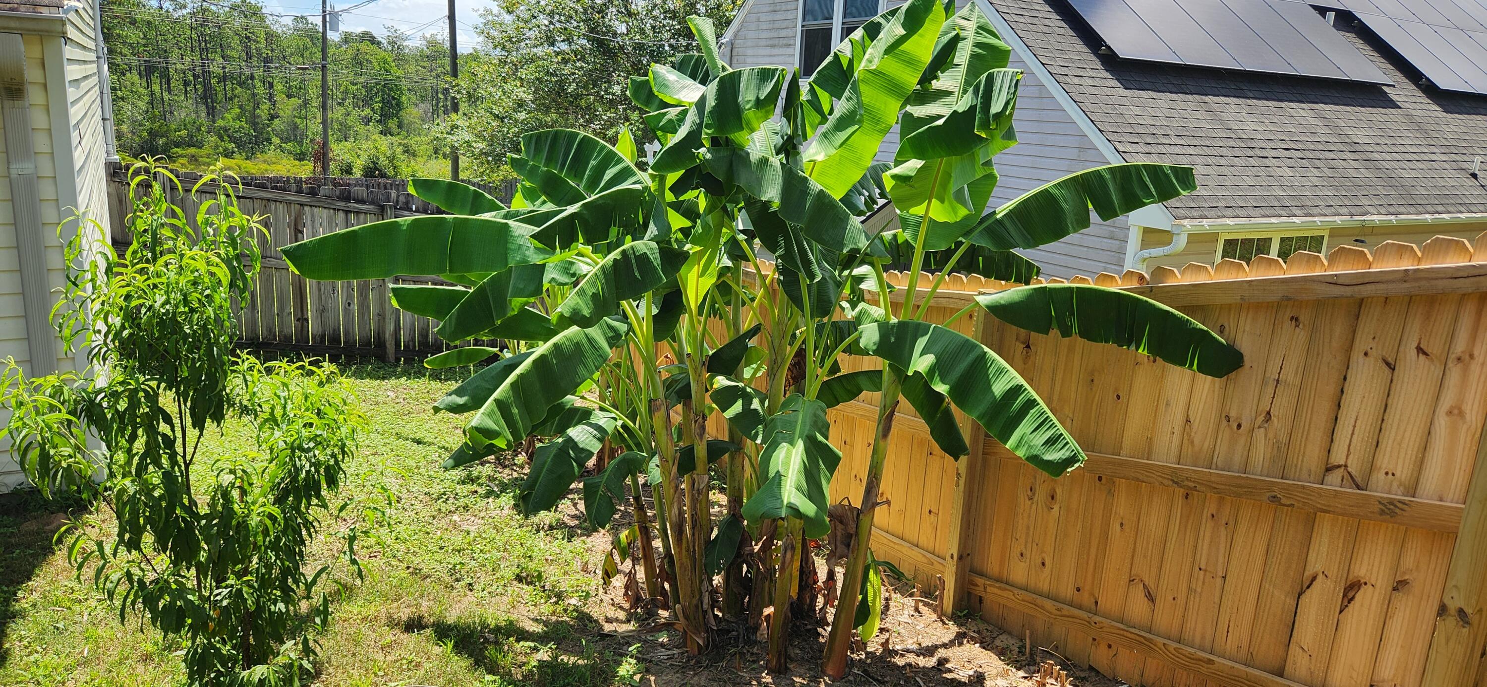 PARK PLACE 5 - Residential