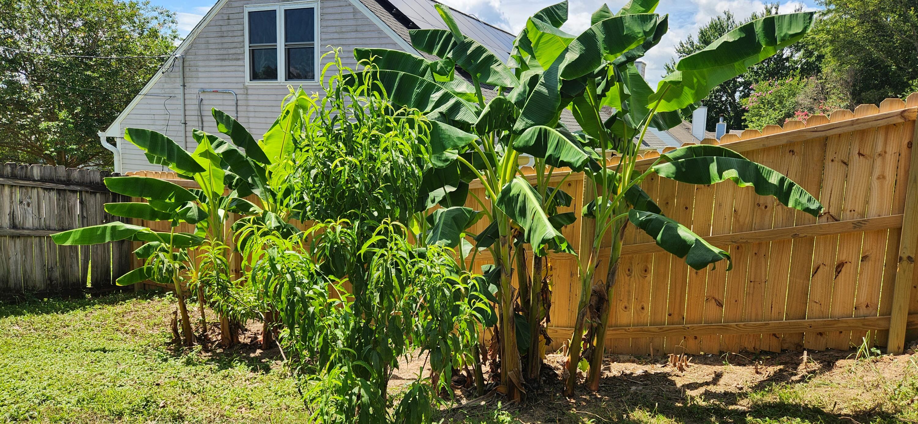 PARK PLACE 5 - Residential