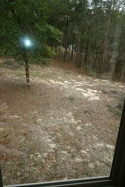 METES & BOUNDS - Residential Lease