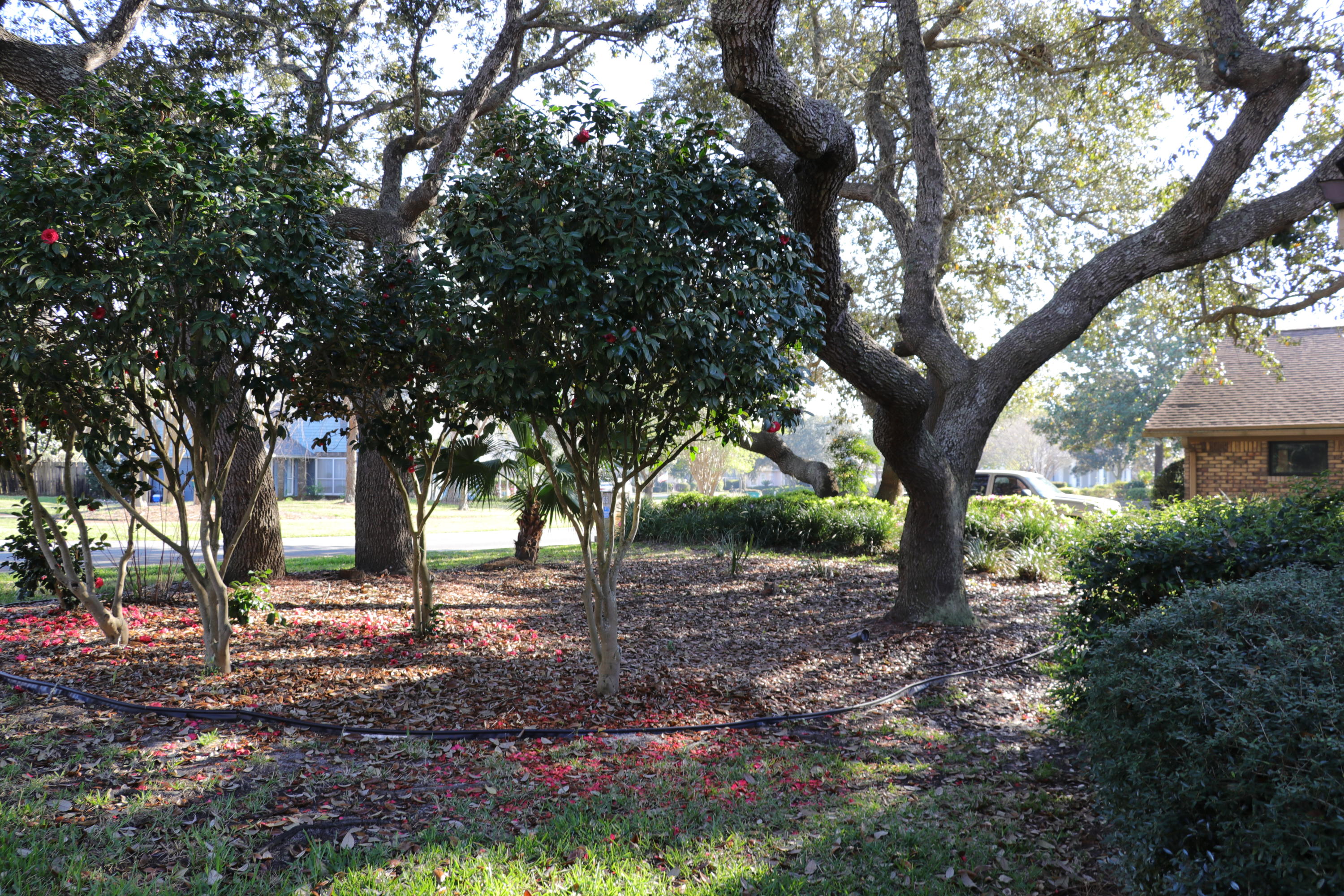 INDIAN BAYOU - Residential