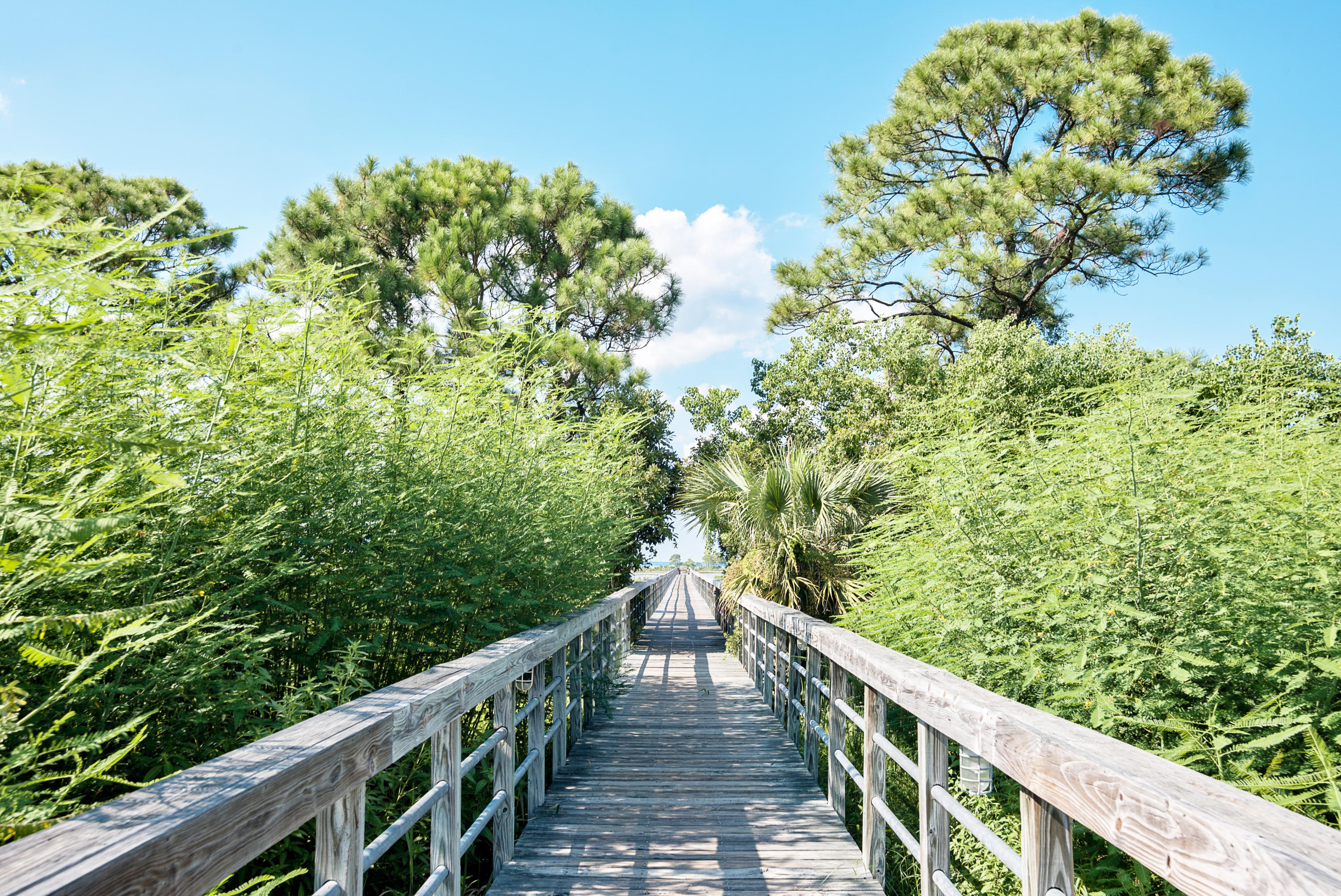 FOUNTAINS AT SANDESTIN - Residential