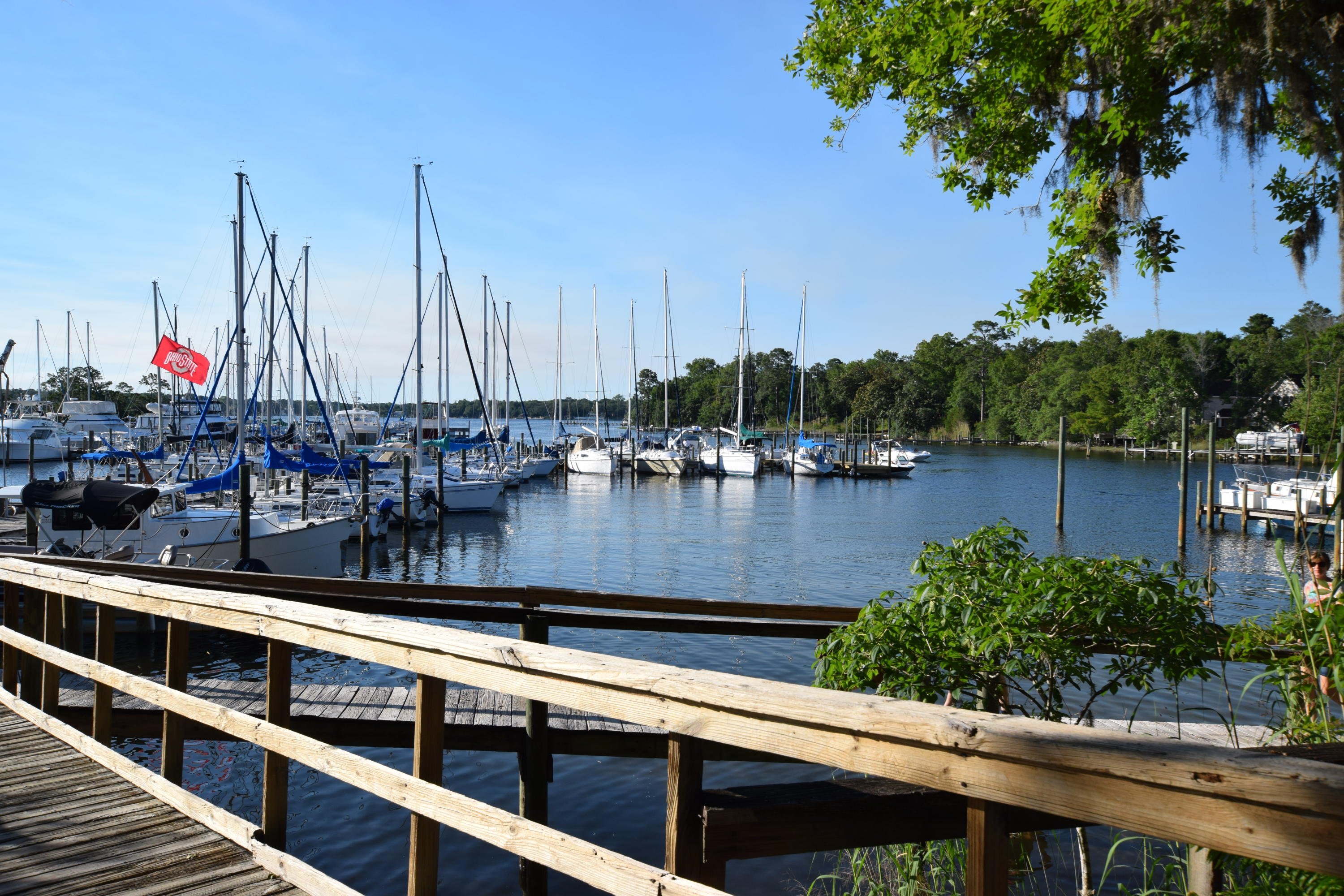 MAGNOLIA FOREST S/D - Residential