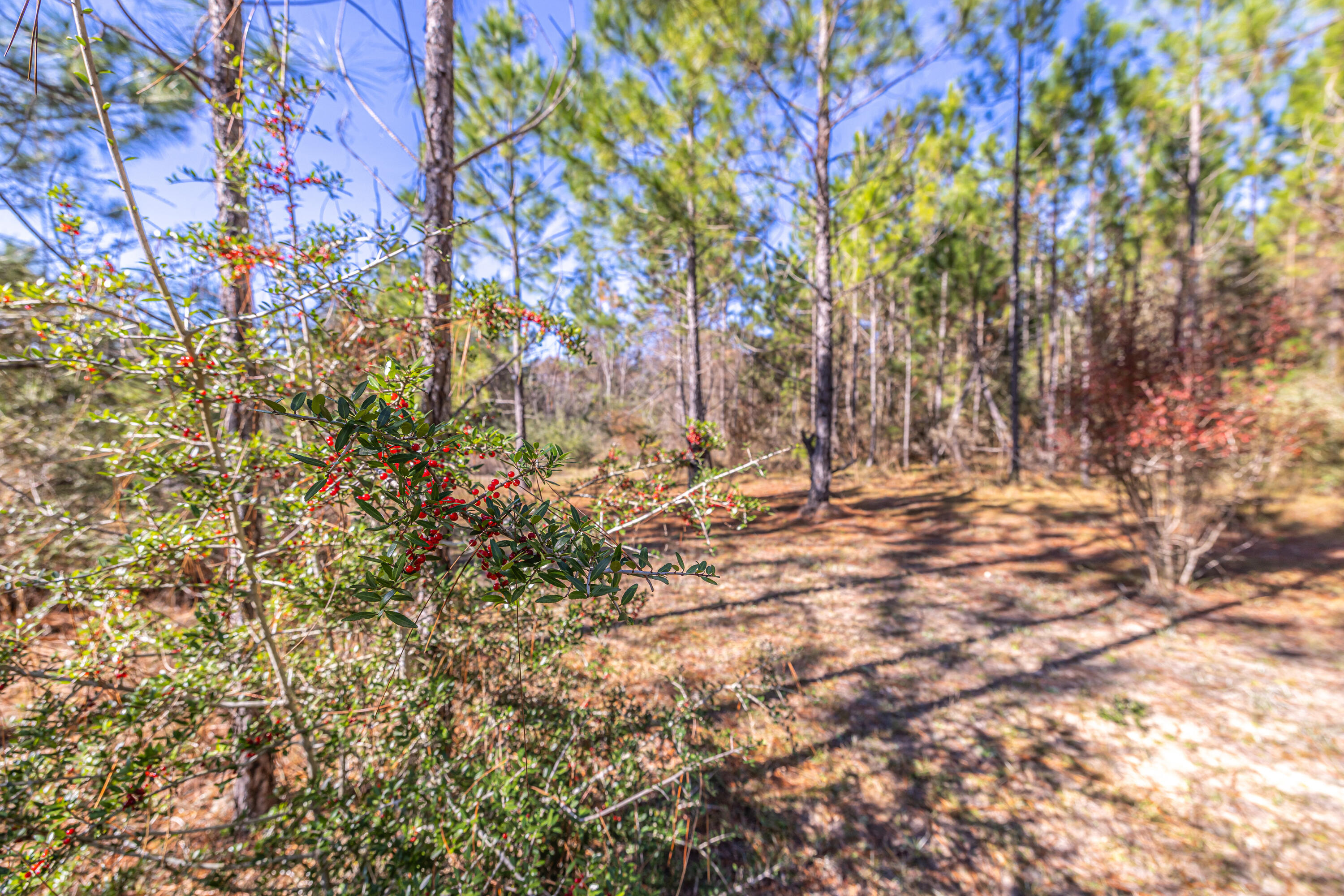 UNRECORDED SUBDIVISION - Farm