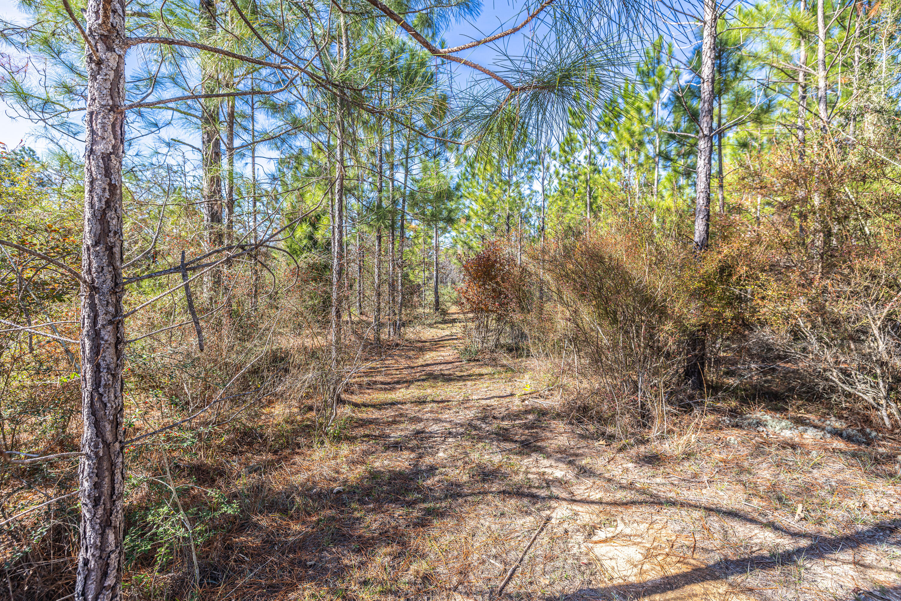 UNRECORDED SUBDIVISION - Farm