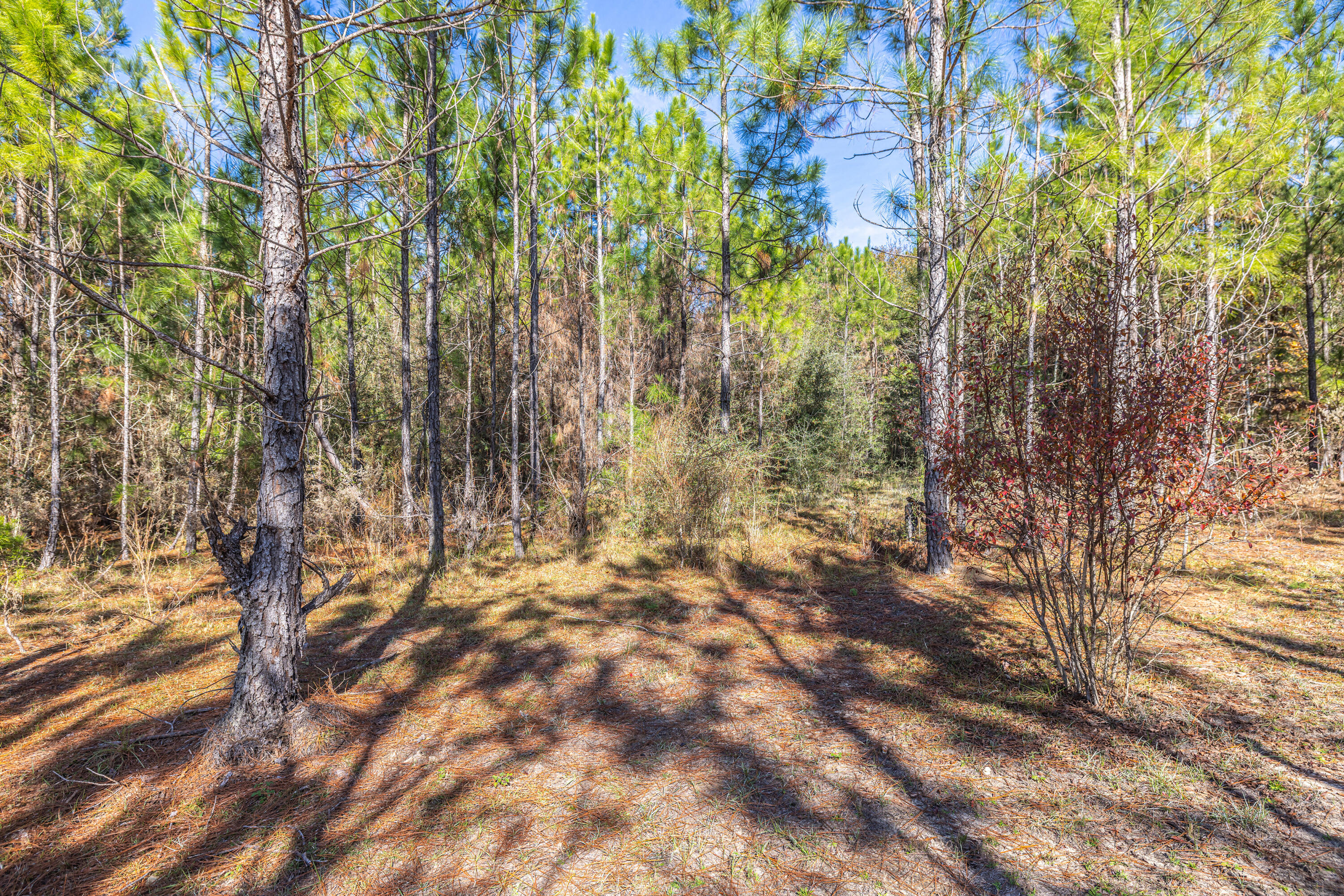 UNRECORDED SUBDIVISION - Farm