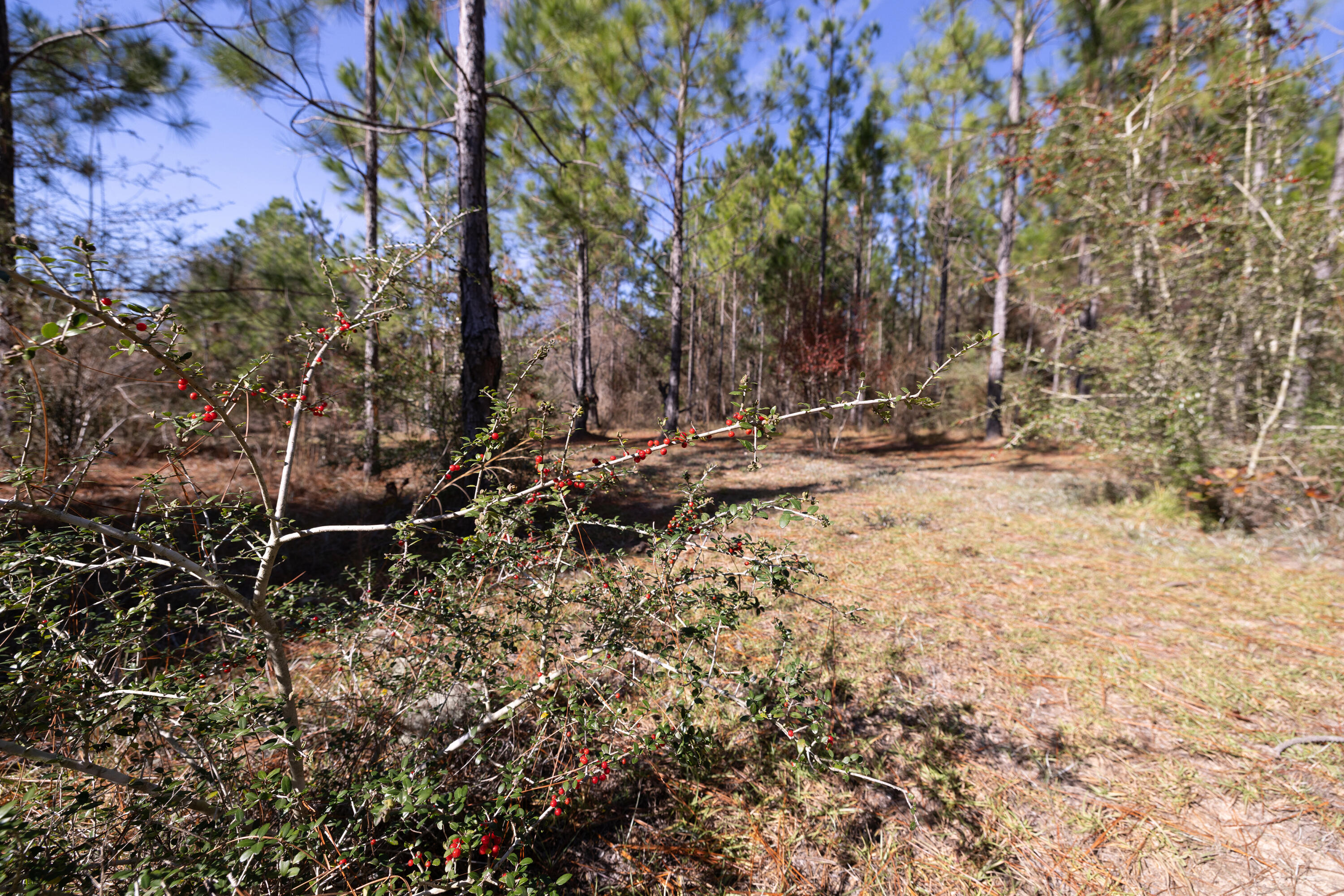 UNRECORDED SUBDIVISION - Farm