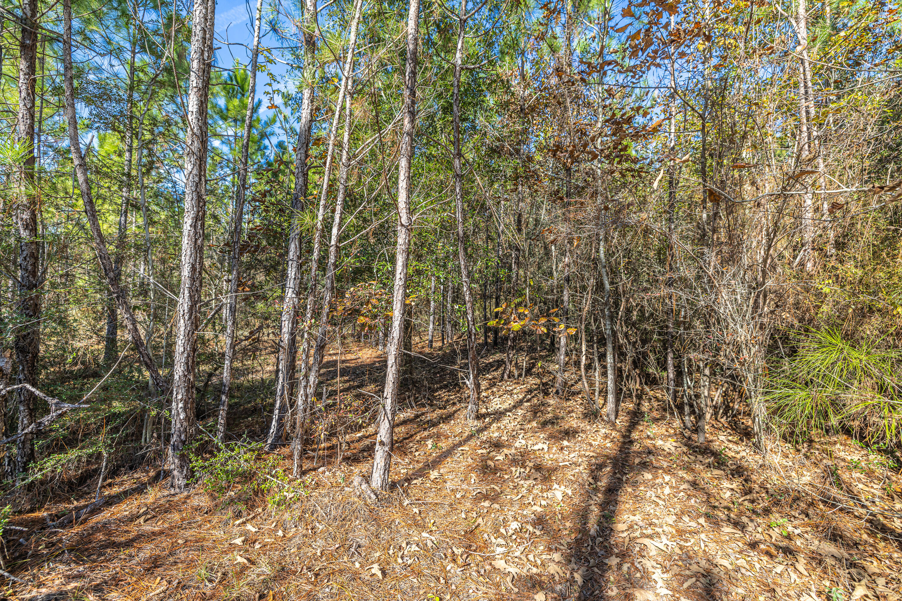 UNRECORDED SUBDIVISION - Farm