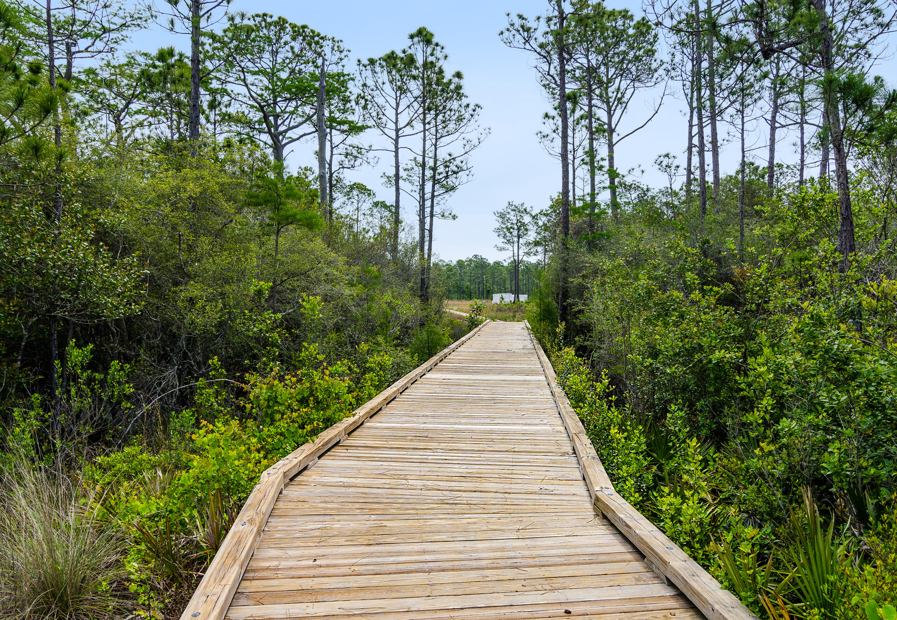 NATUREWALK AT SEAGROVE - Residential