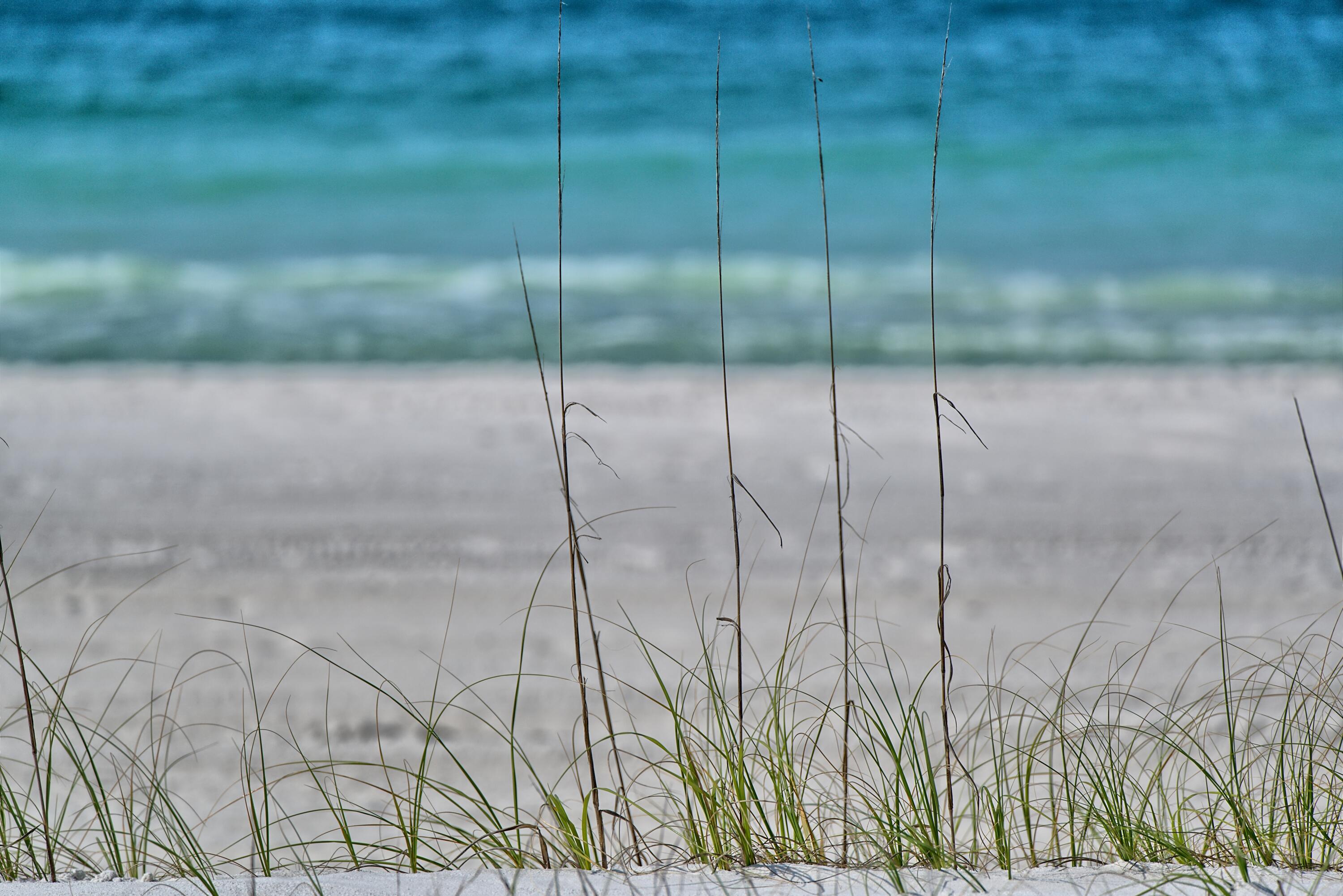 Harbor Arms - Residential