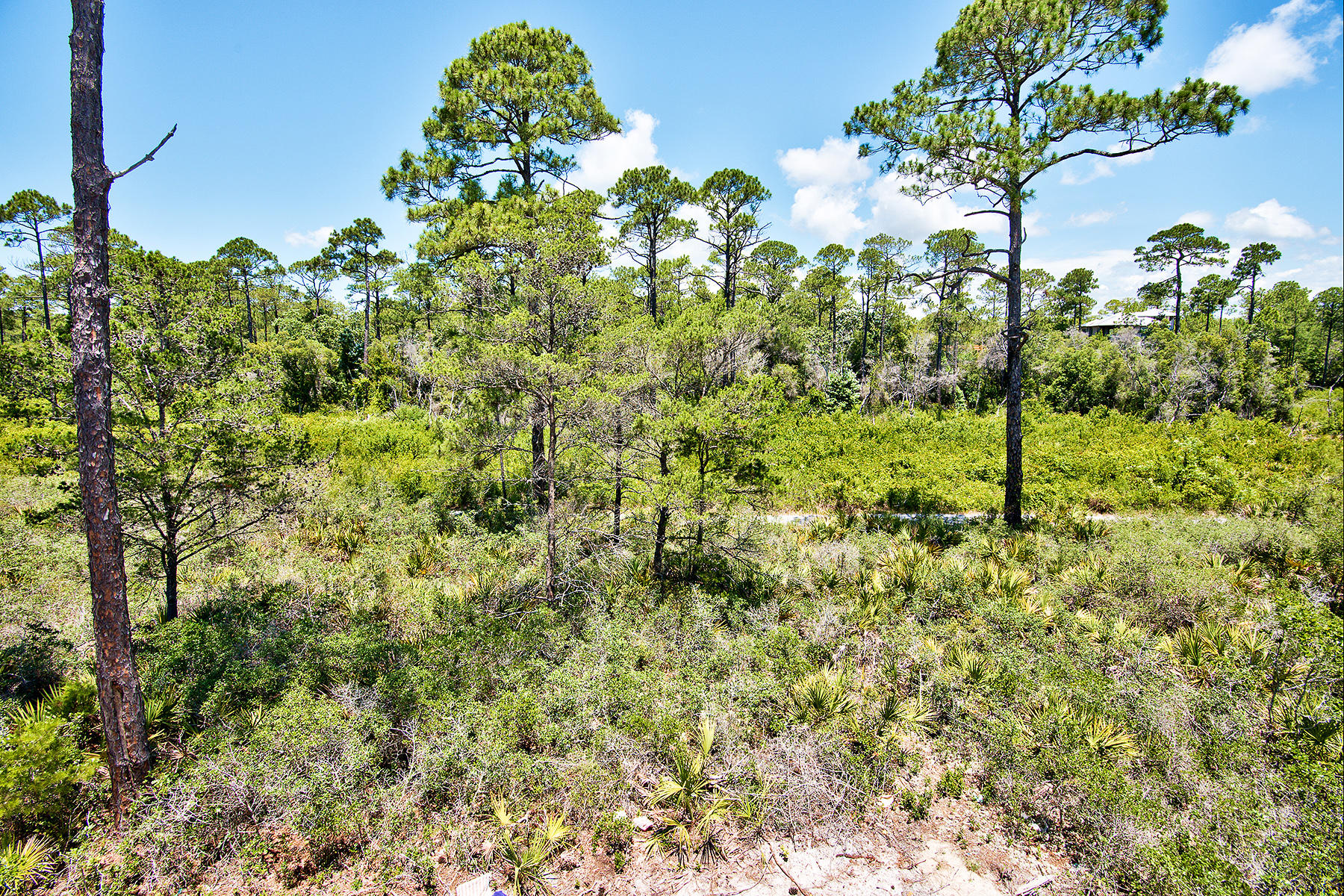 SEACREST BEACH - Residential