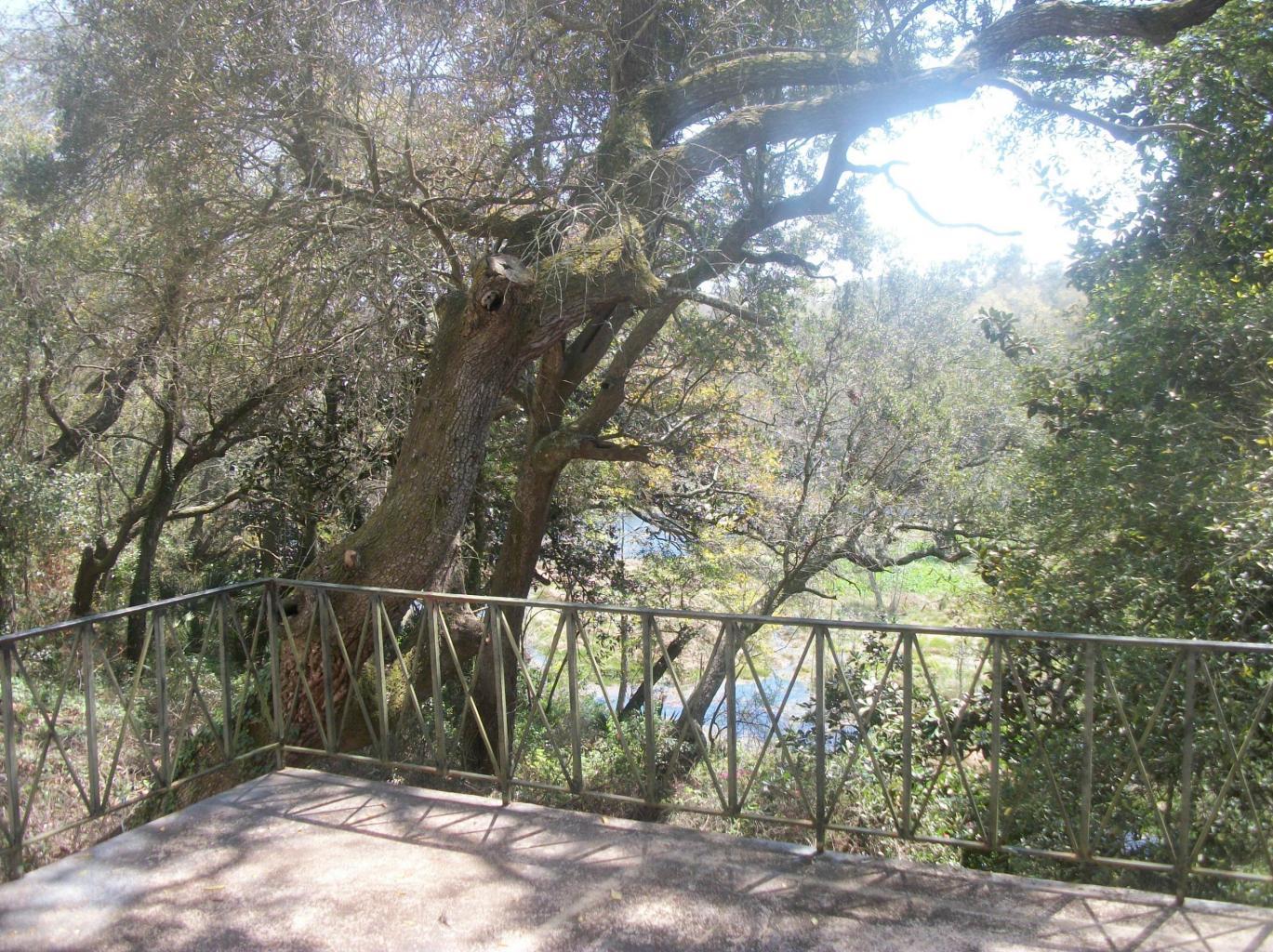 MARNAN S/D - Residential