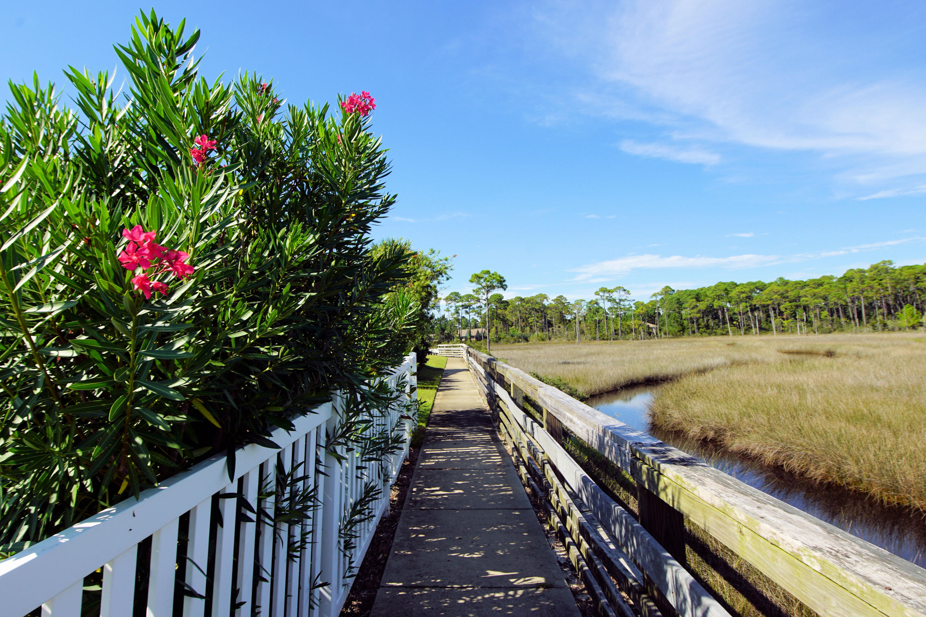 MARSH HARBOR - Residential