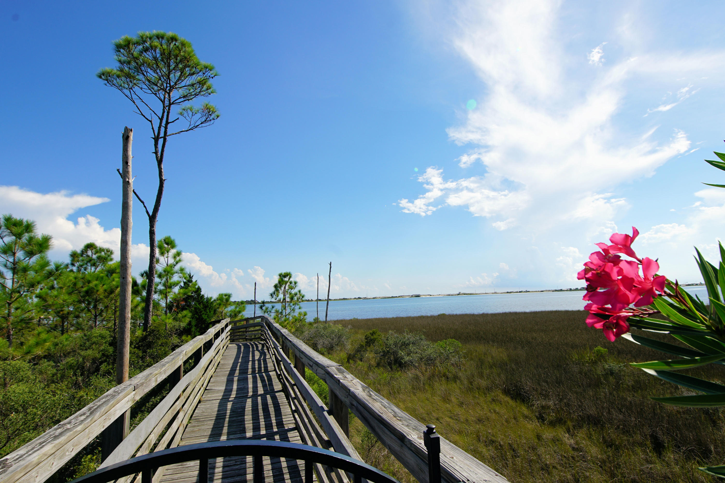 MARSH HARBOR - Residential