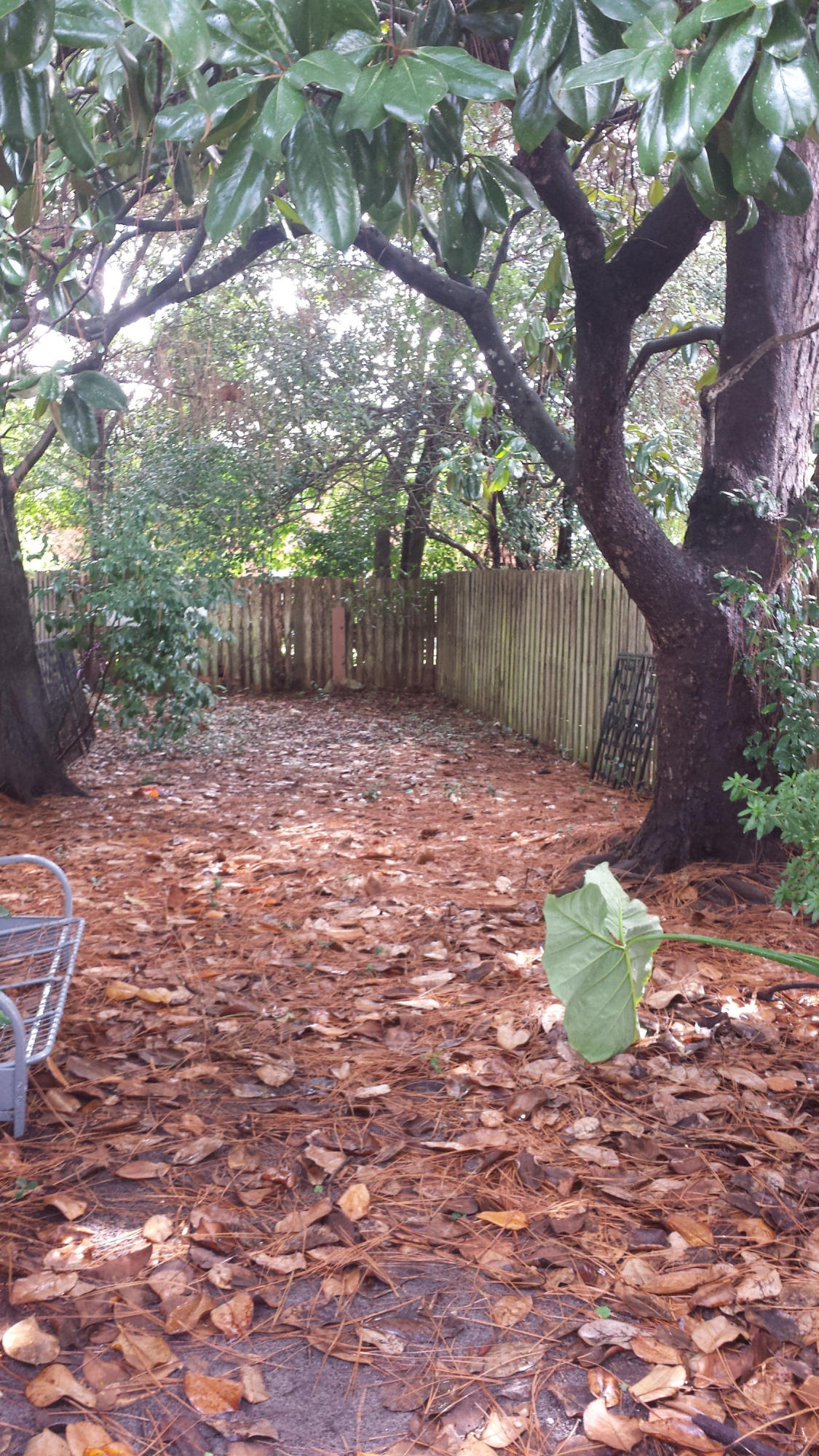 CAPE CASA T/H - Residential