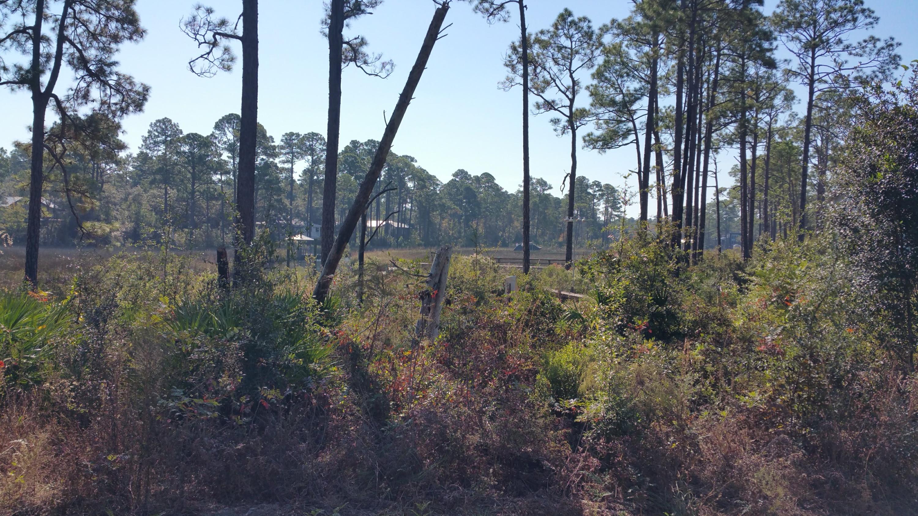 MAGNOLIA BEACH - Land