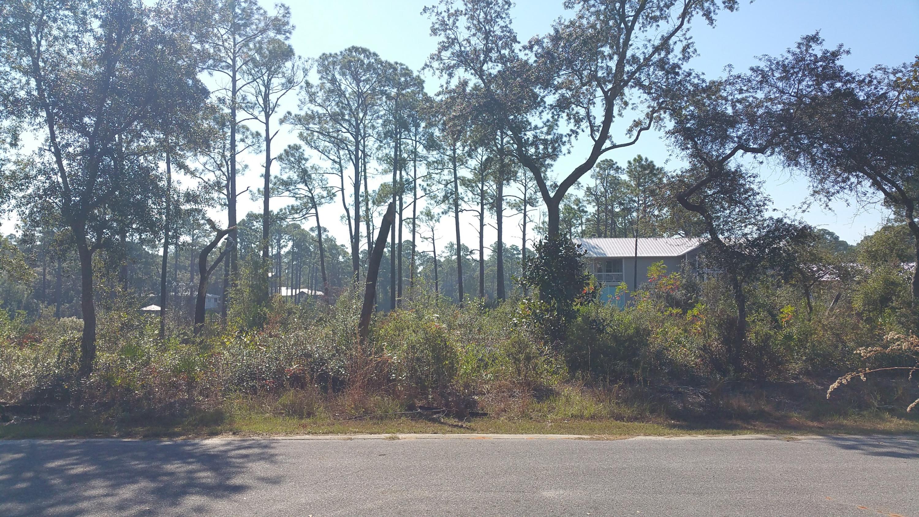 MAGNOLIA BEACH - Land