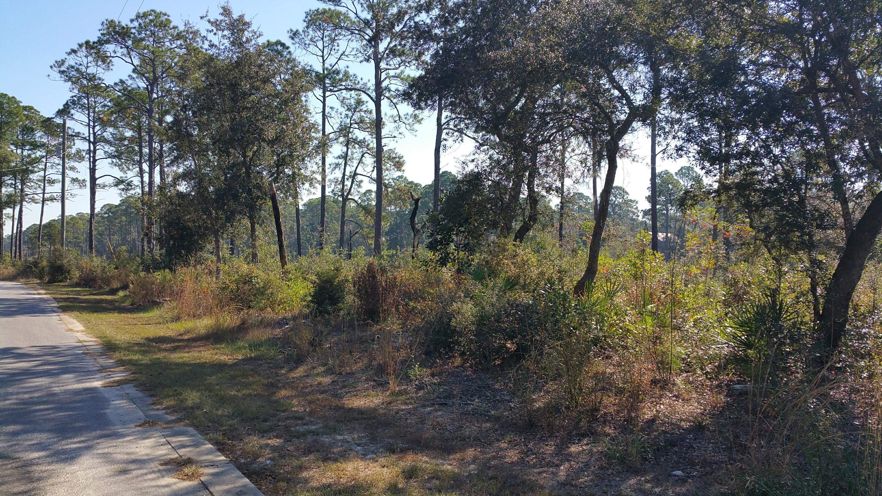 MAGNOLIA BEACH - Land