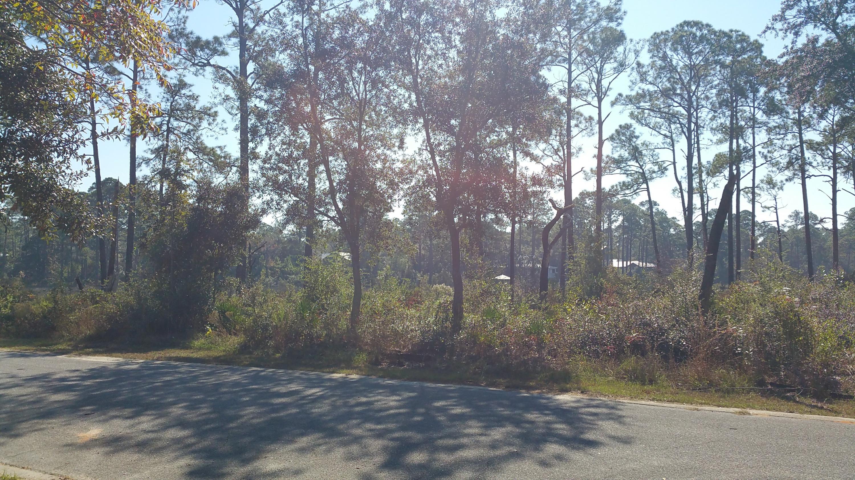 MAGNOLIA BEACH - Land