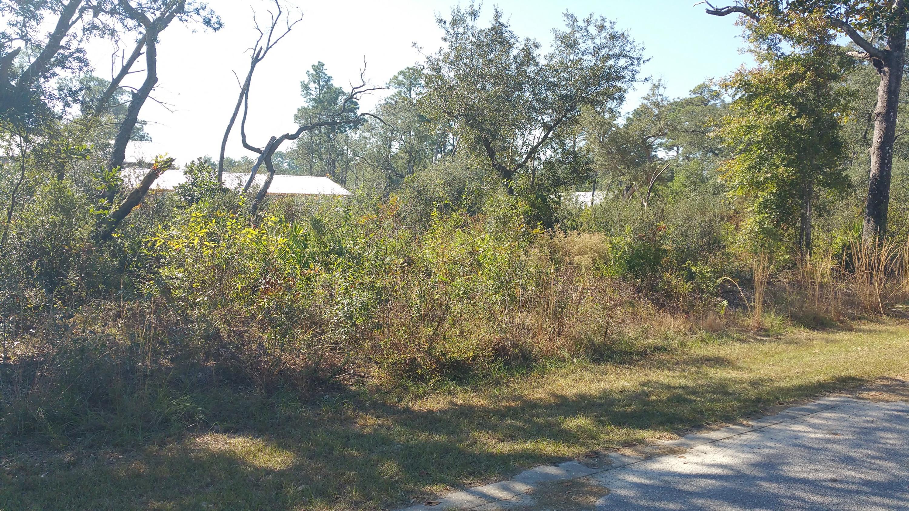 MAGNOLIA BEACH - Land