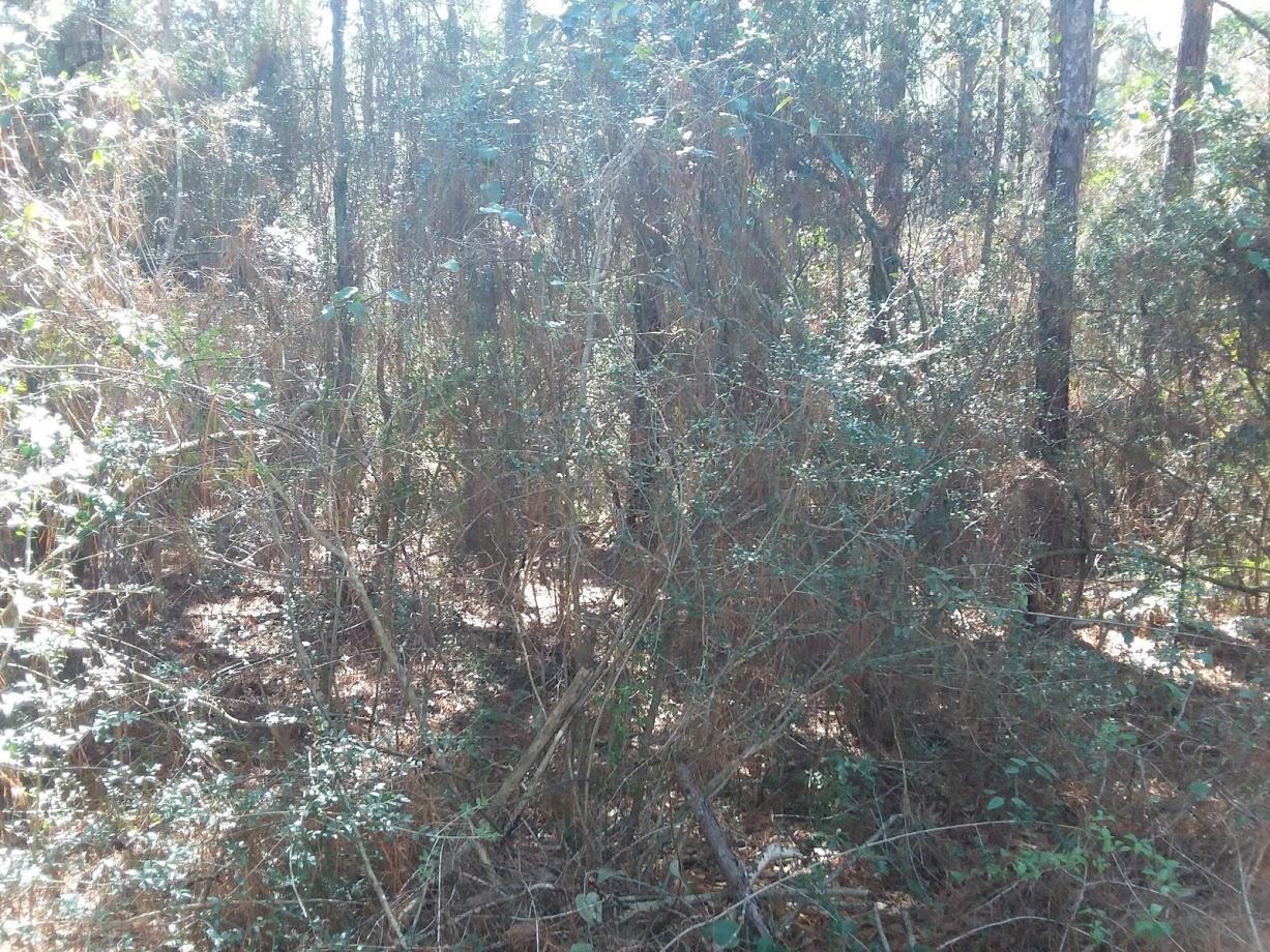 Chardee Addition, Unrecorded - Land