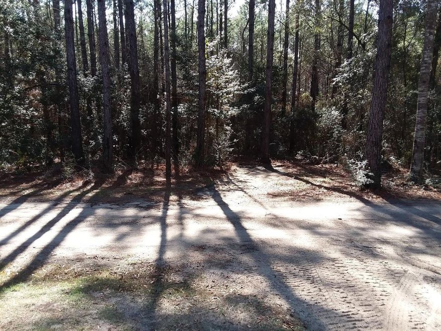 Mobile Homes are ok on this beautiful wooded lot. Almost a full acre of land and it is located North of town, just off of Poverty Creek Rd.