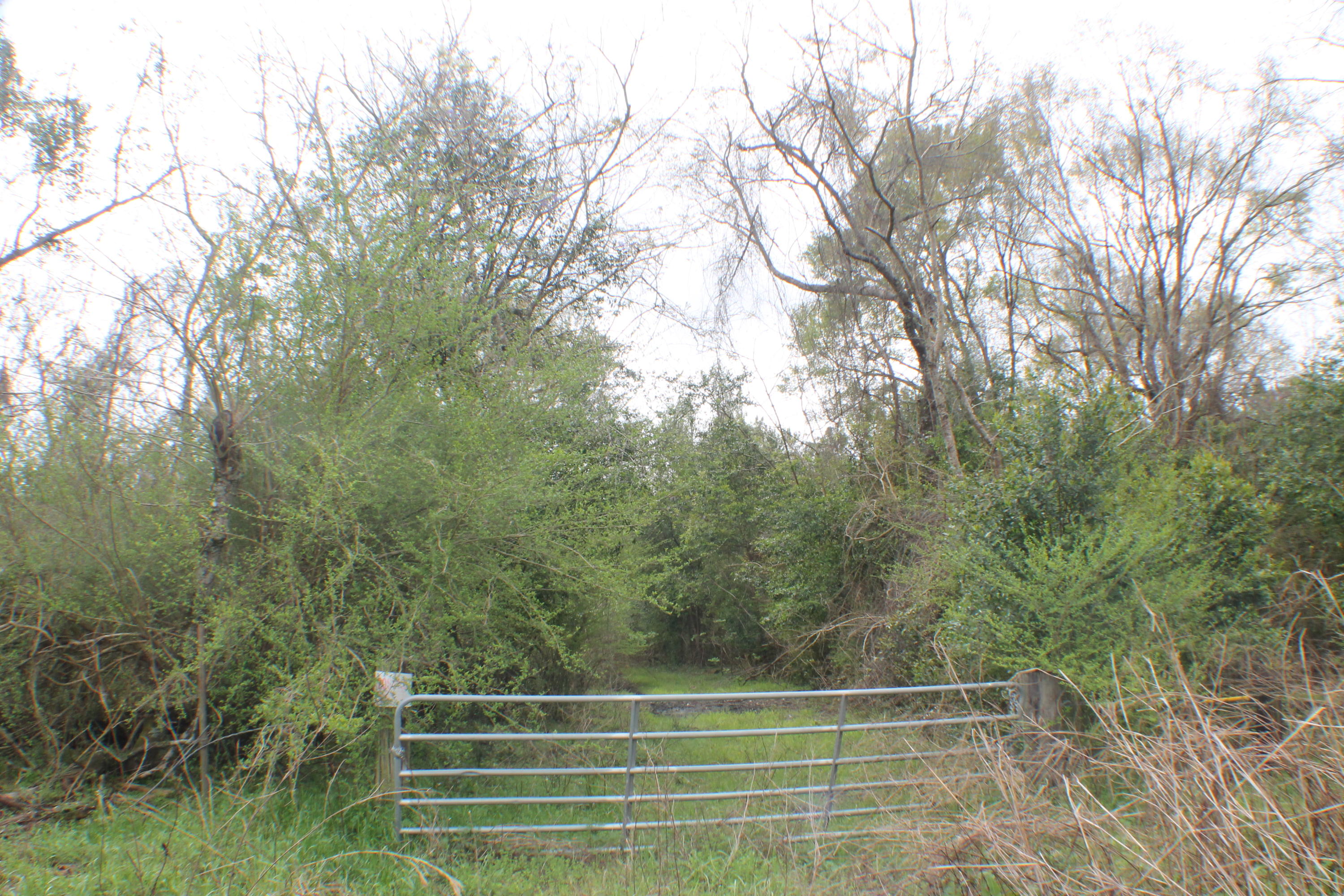 METES & BOUNDS - Land