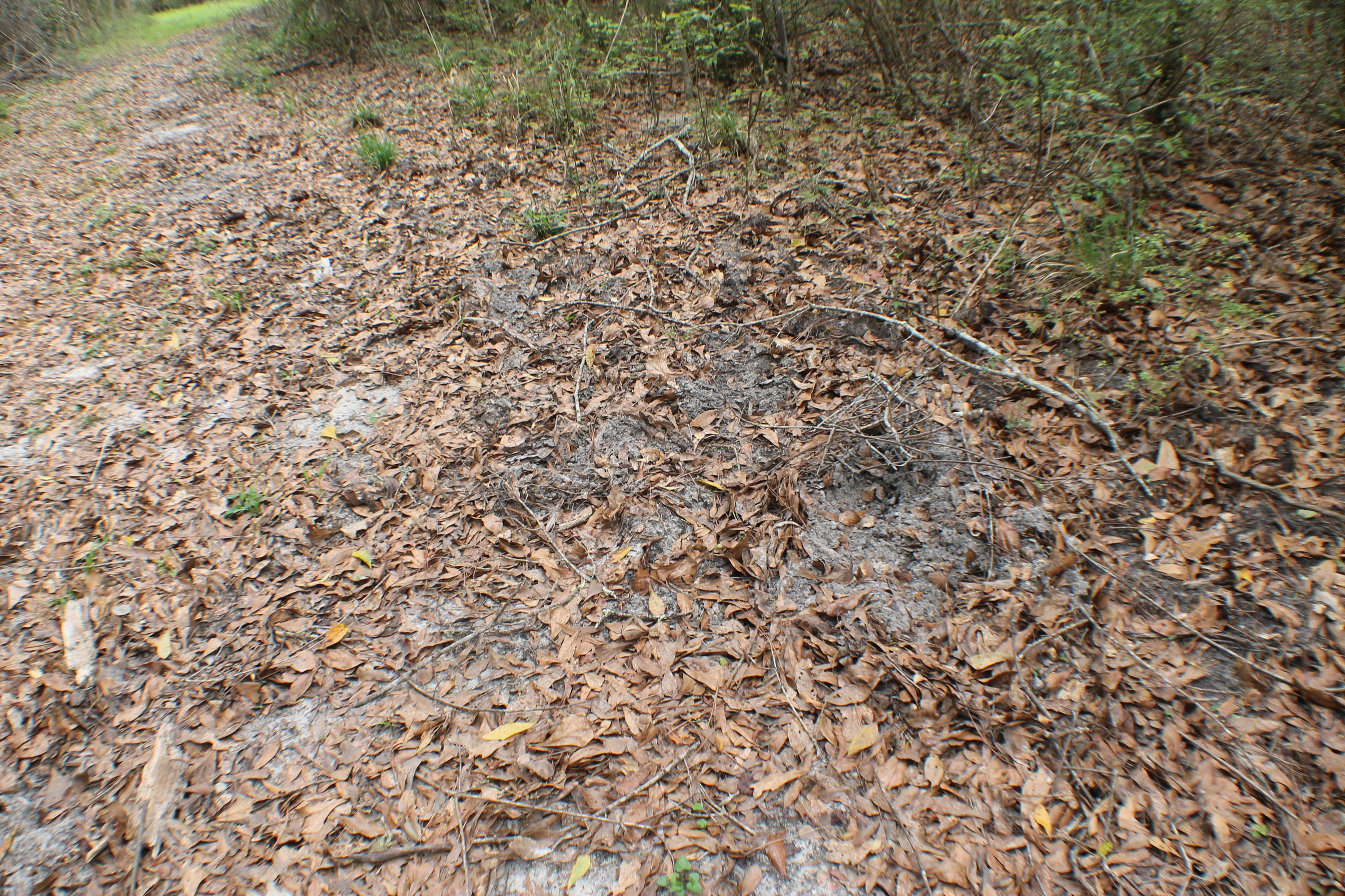 METES & BOUNDS - Land