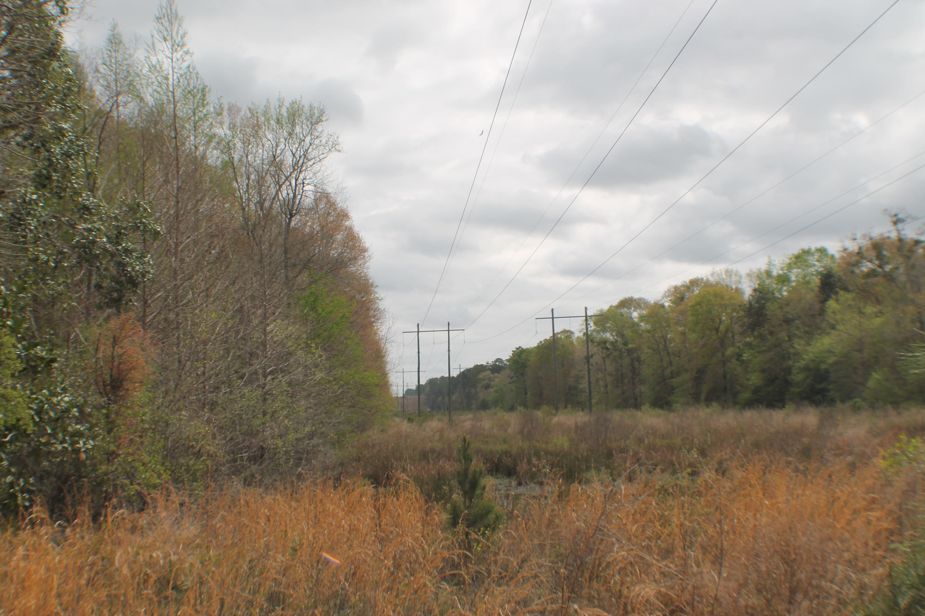 METES & BOUNDS - Land