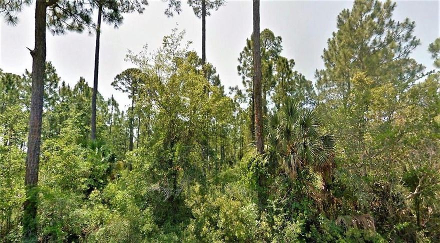 A beautiful vista awaits you with your choice of several lots new to the market overlooking the historical and pristine waters of Indian Lagoon. These lots are a paddleboarder's and kayaker's dream as one can enjoy bird watching, oystering, or shallow in shore fishing. Close proximity to Indian Pass Boat Ramp, Public Beach Access and the famous Indian Pass Raw Bar. Just a short drive to Cape San Blas, Salinas Park, and conveniently located between Port St Joe and Apalachicola. Lots are heavily wooded and have reasonable restrictions. Single family residential use only.