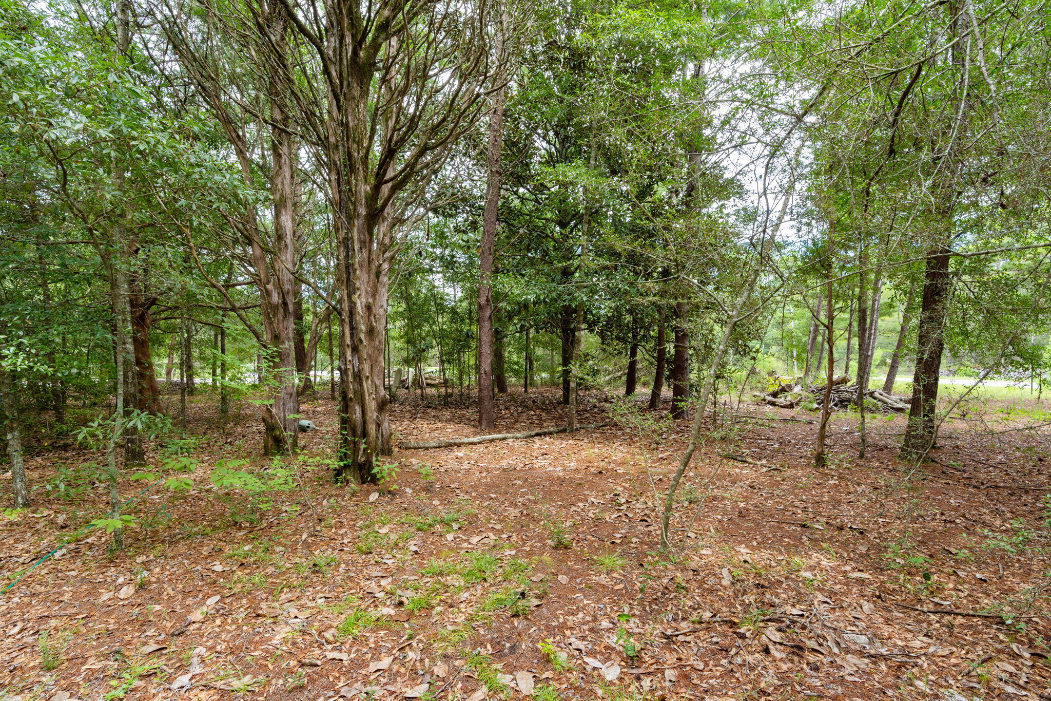 OAKWOOD HILLS UNIT 1 - Residential