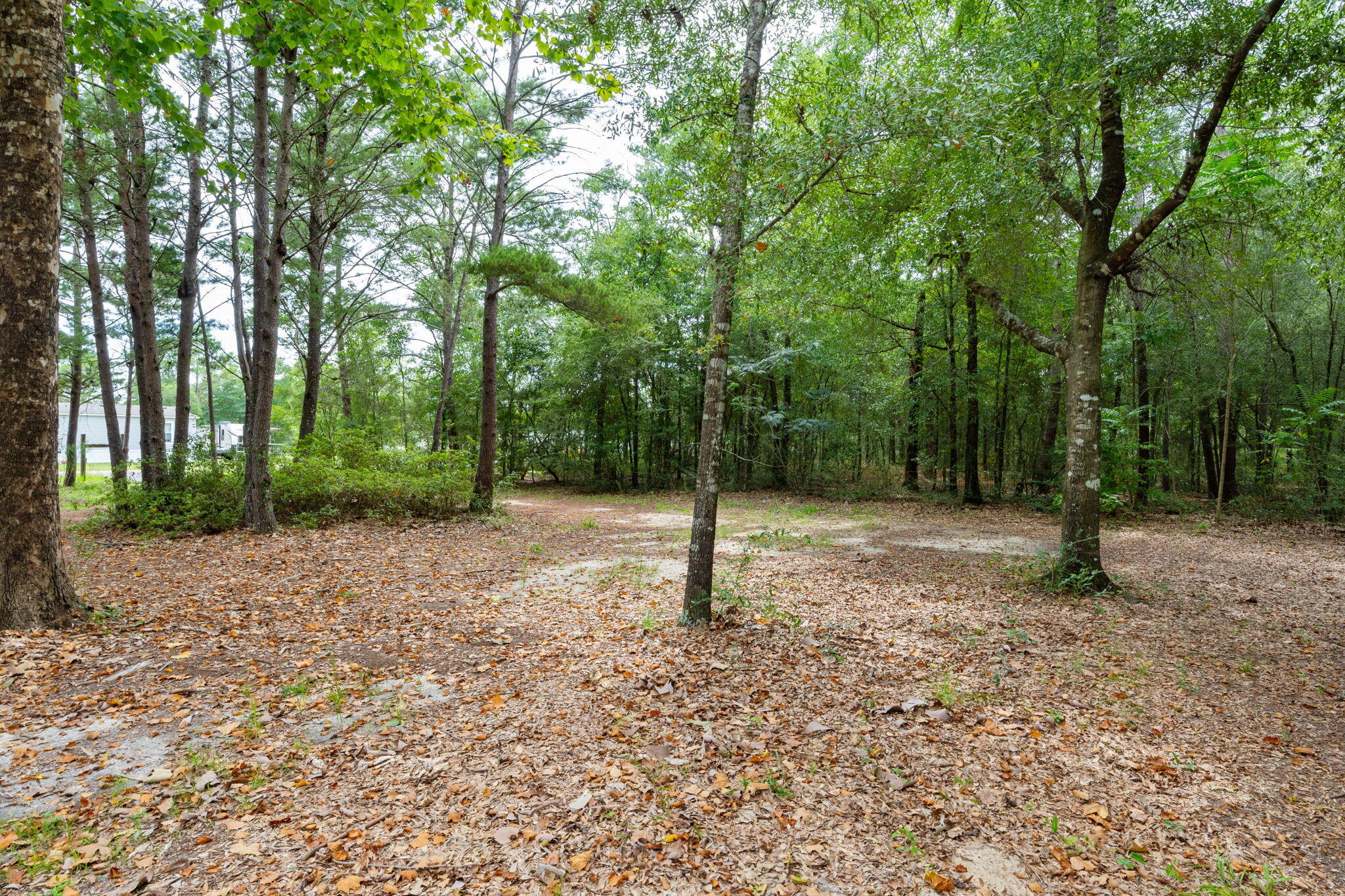 OAKWOOD HILLS UNIT 1 - Residential