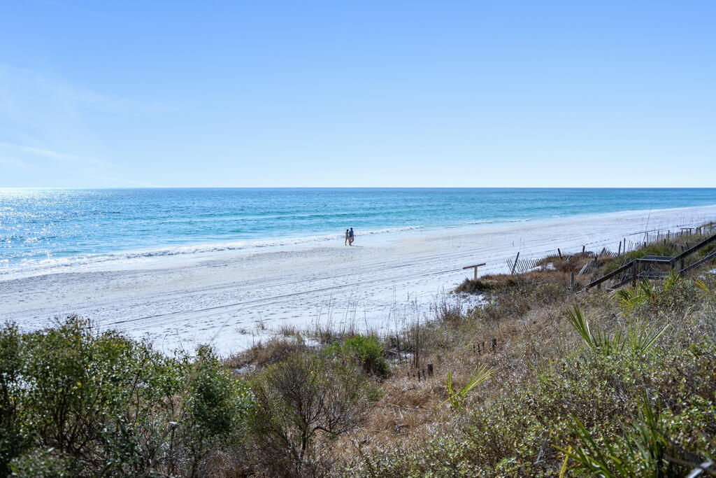 GULF PLACE CARIBBEAN CONDO - Residential