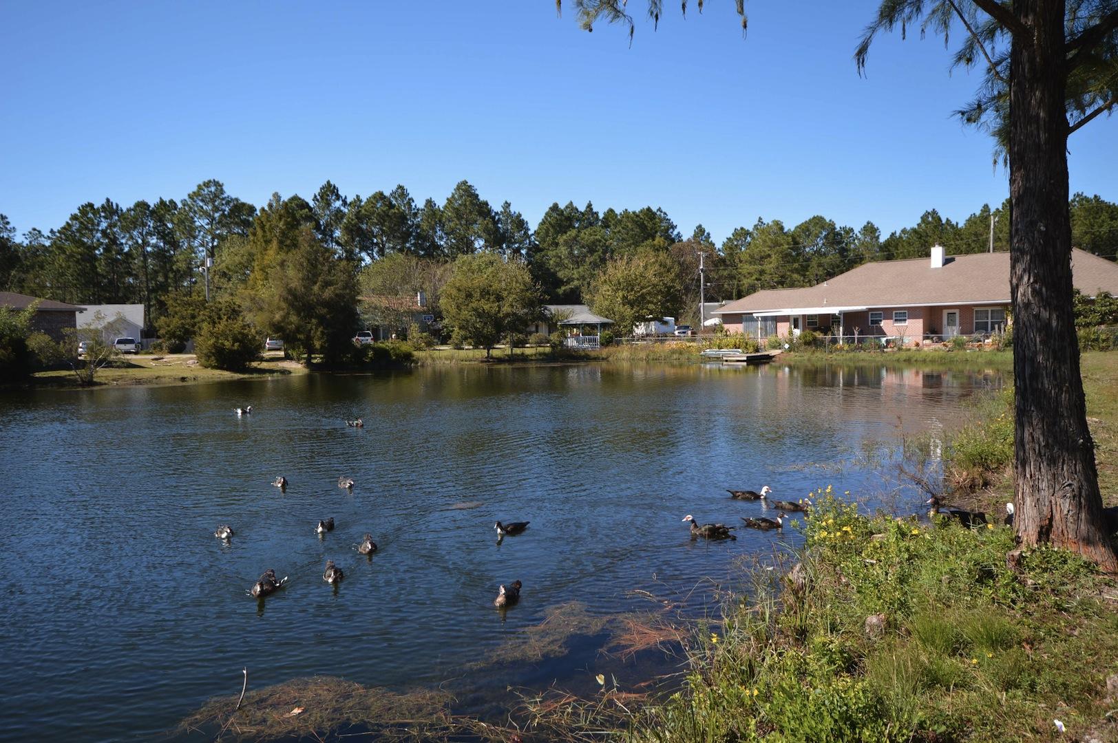 NONESUCH WAY - Residential