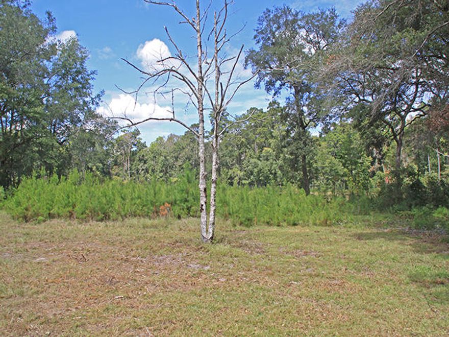 Great lot located in a quiet nice neighborhood of Paradise in rapidly growing Freeport. Located off Hwy 331, this home is close to schools, shopping in Freeport and only about 15 minutes from the sugar white sand beaches. Build your dream home in a very peaceful setting. This lot is offered by itself or combined with the 2 lots west of this lot, along with a house on the middle lot. The MLS # is 738925. The deminsions for all 3 lots is 302'39' X 98.81'.