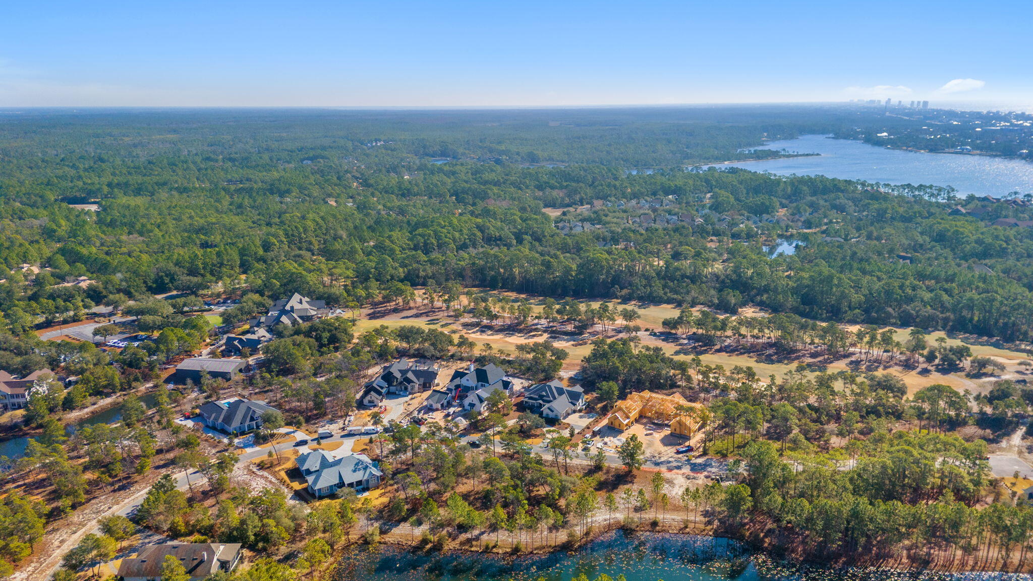 Wild Heron Phase VII - Land