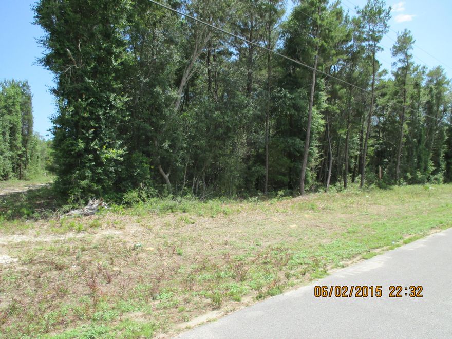If you are looking for a nice piece of land just a short distance from the beaches of South Walton this is it. Wooded parcel on a paved road. Seller has a survey. Water is available. Tap fee not paid.
