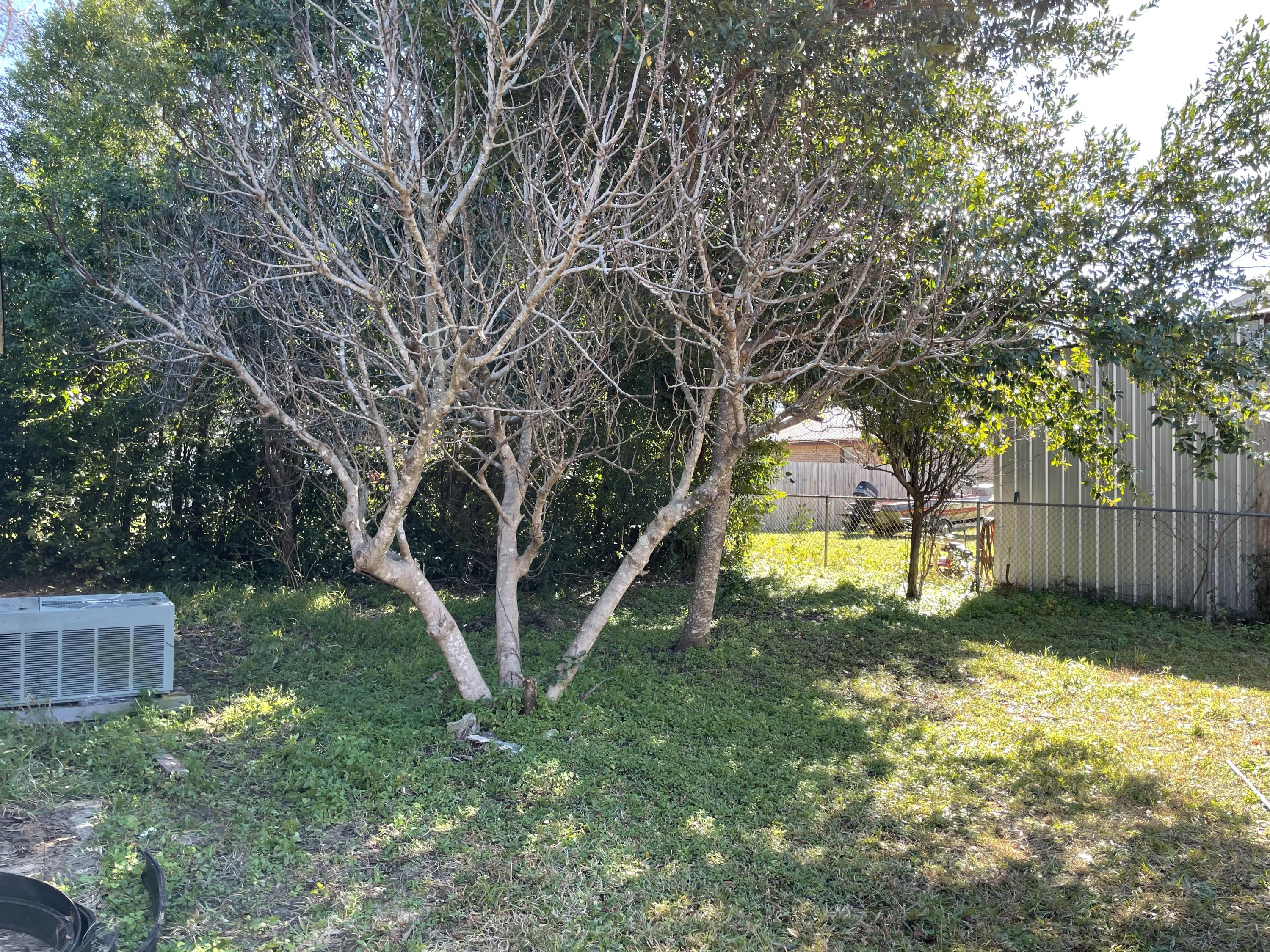 MEIGS S/D - Residential Lease