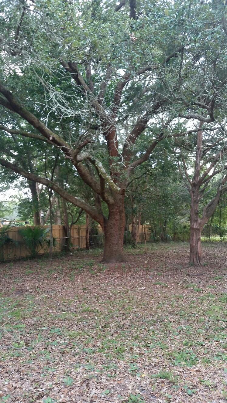 SANTA MARKELLA - Residential