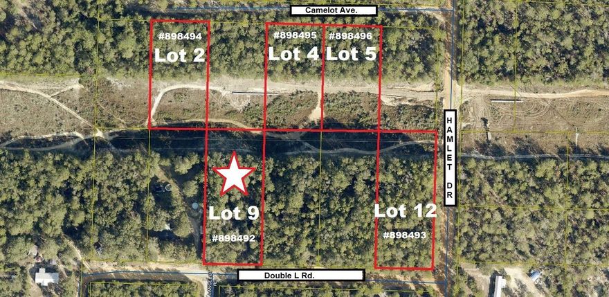 Apx. 1.25 acre lot in growing Mossy Head area of Defuniak Springs. Suitable for new construction or manufactured homes. There are five lots under this parcel ID (see MLS #898491 for all lots). If sold individually, seller will have them split out through Walton County Property Appraiser. This area has been platted, so should have no issue with the split.