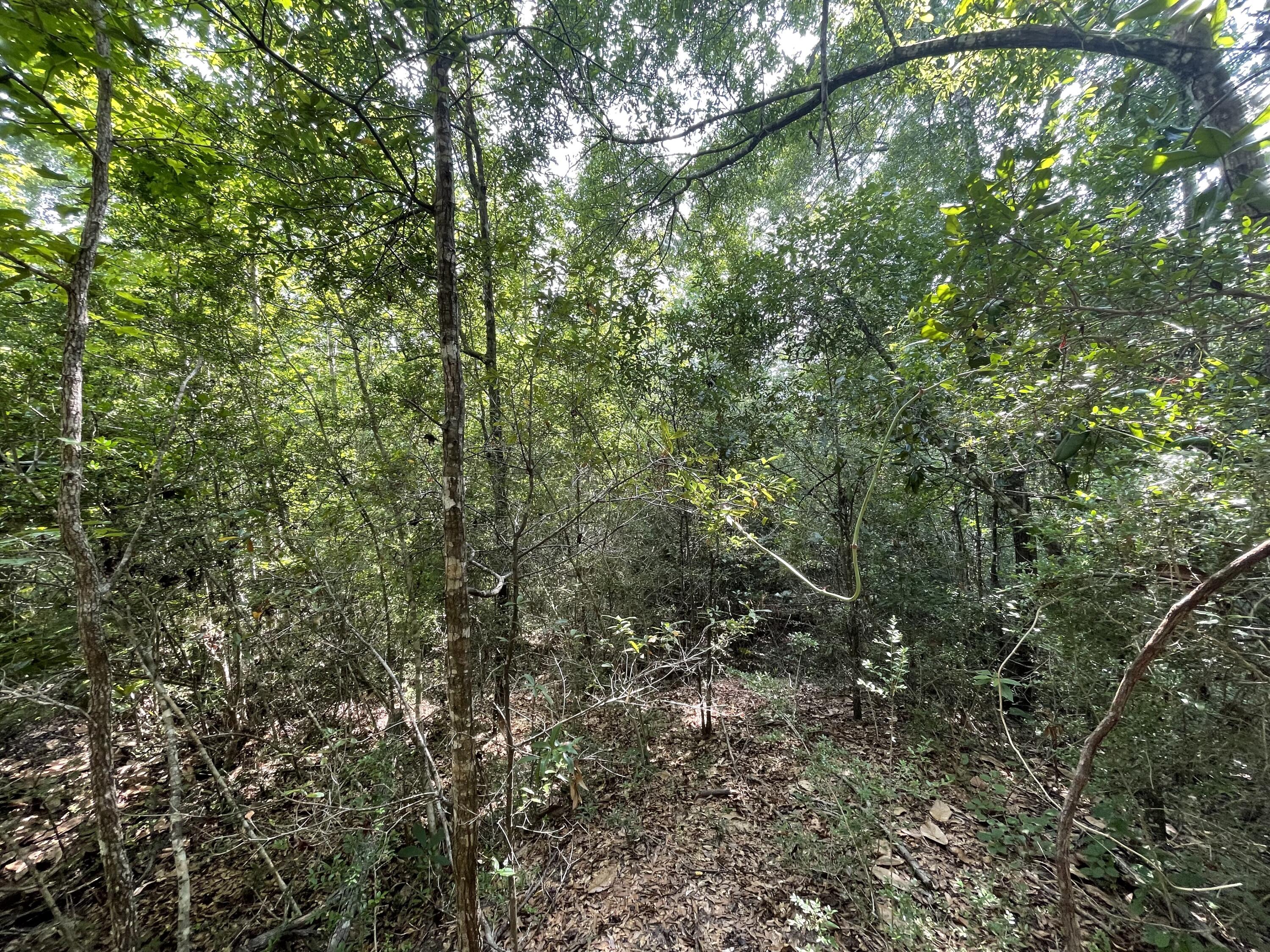 METES & BOUNDS - Land