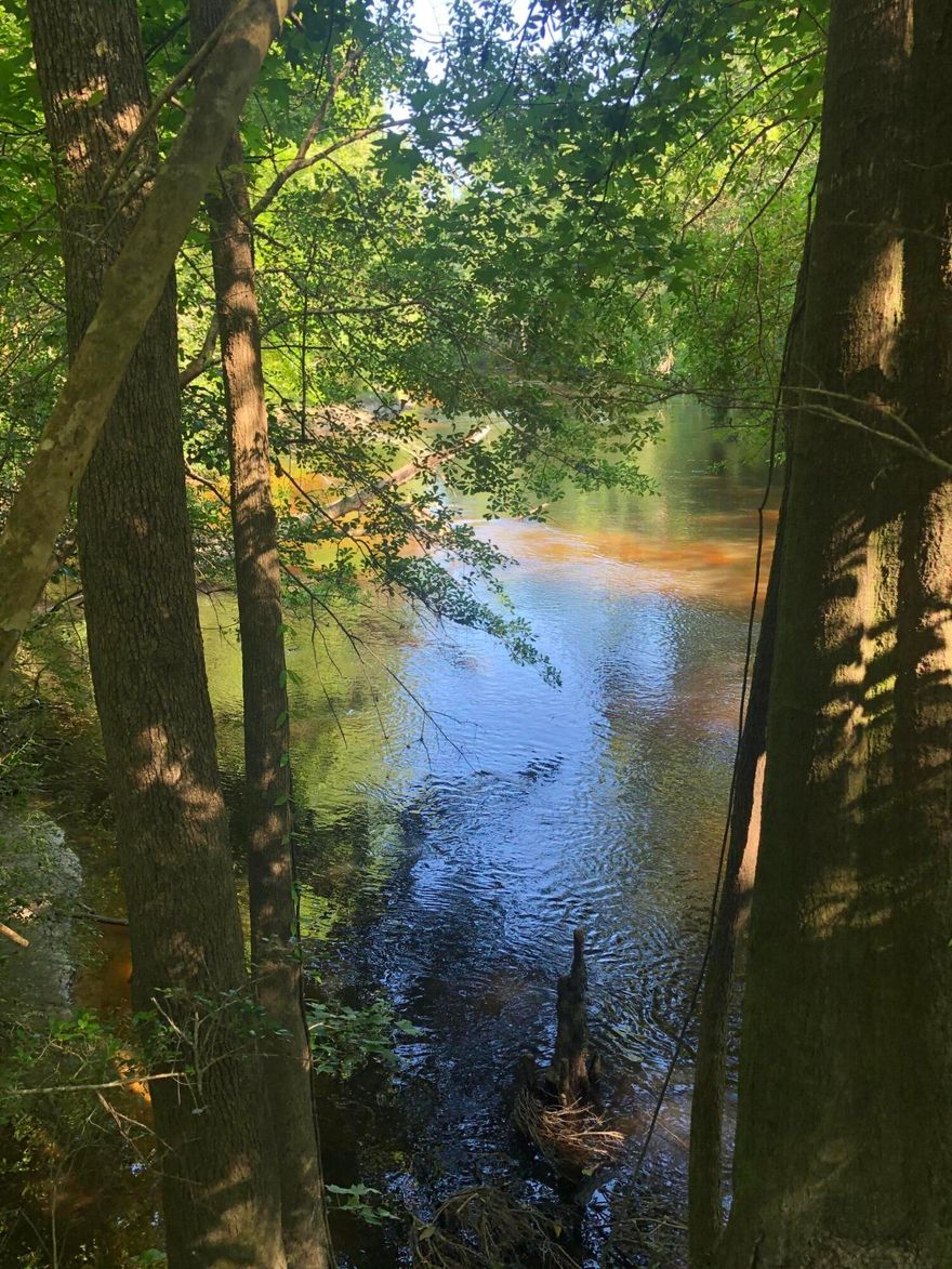 Look no further! You have found the perfect piece of 14+/- Acres of land suited just for you! Bring your fishing poles and your ATVS and head out to Shoal River for some family fun or quiet relaxation time. Bring your build plans today and let's get started on your forever home!